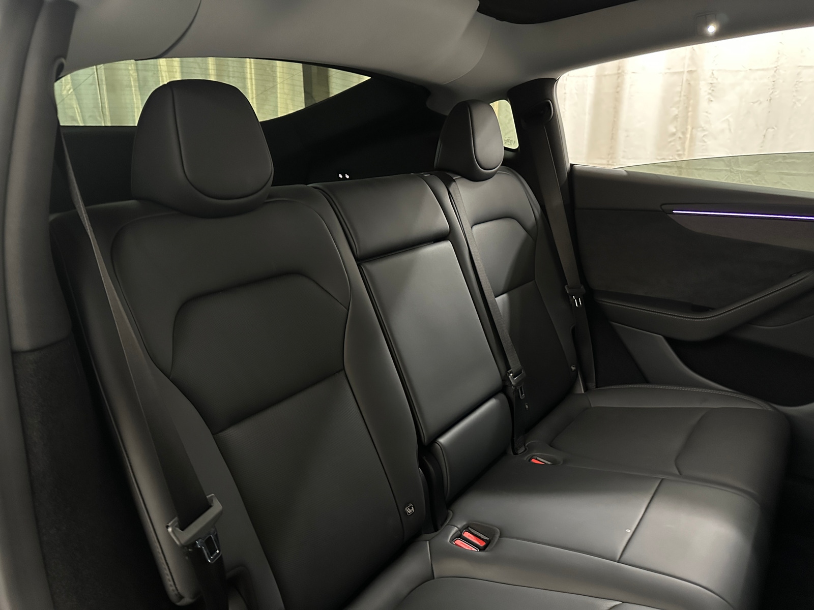 Thumbnail: 2026 Tesla Model Y - 5