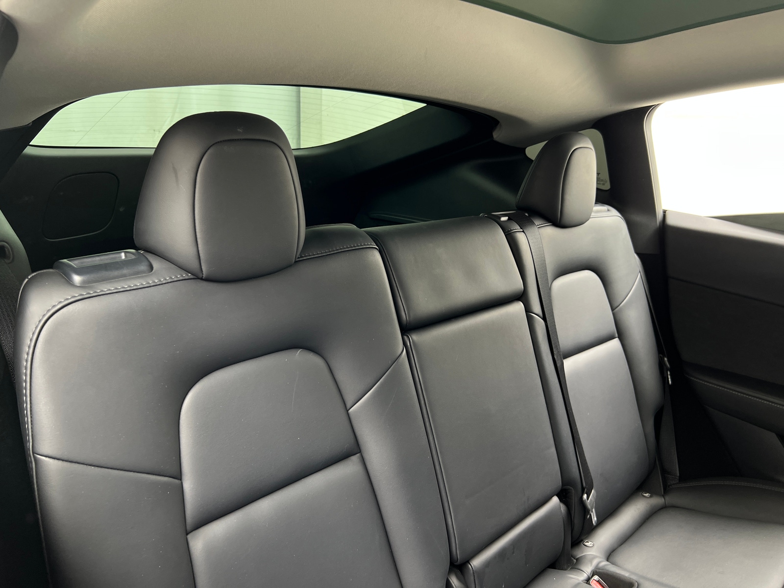 Thumbnail: 2023 Tesla Model Y - 5