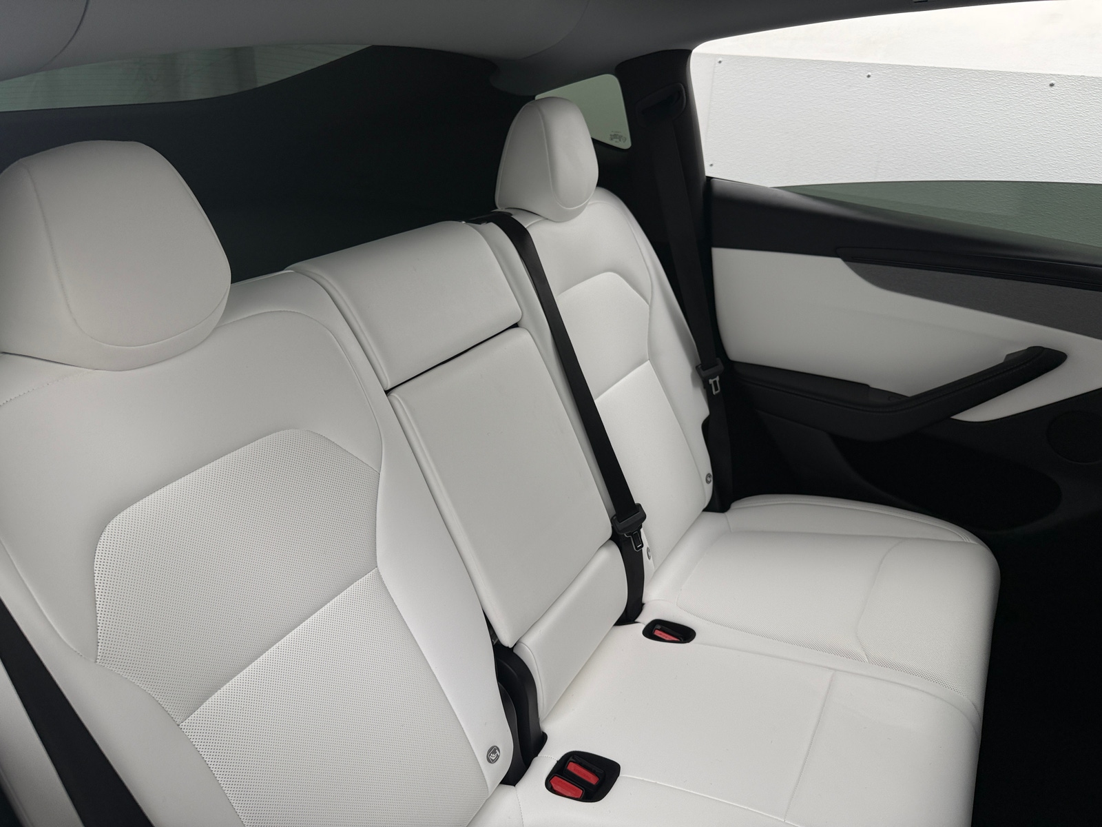 Thumbnail: 2026 Tesla Model Y - 5