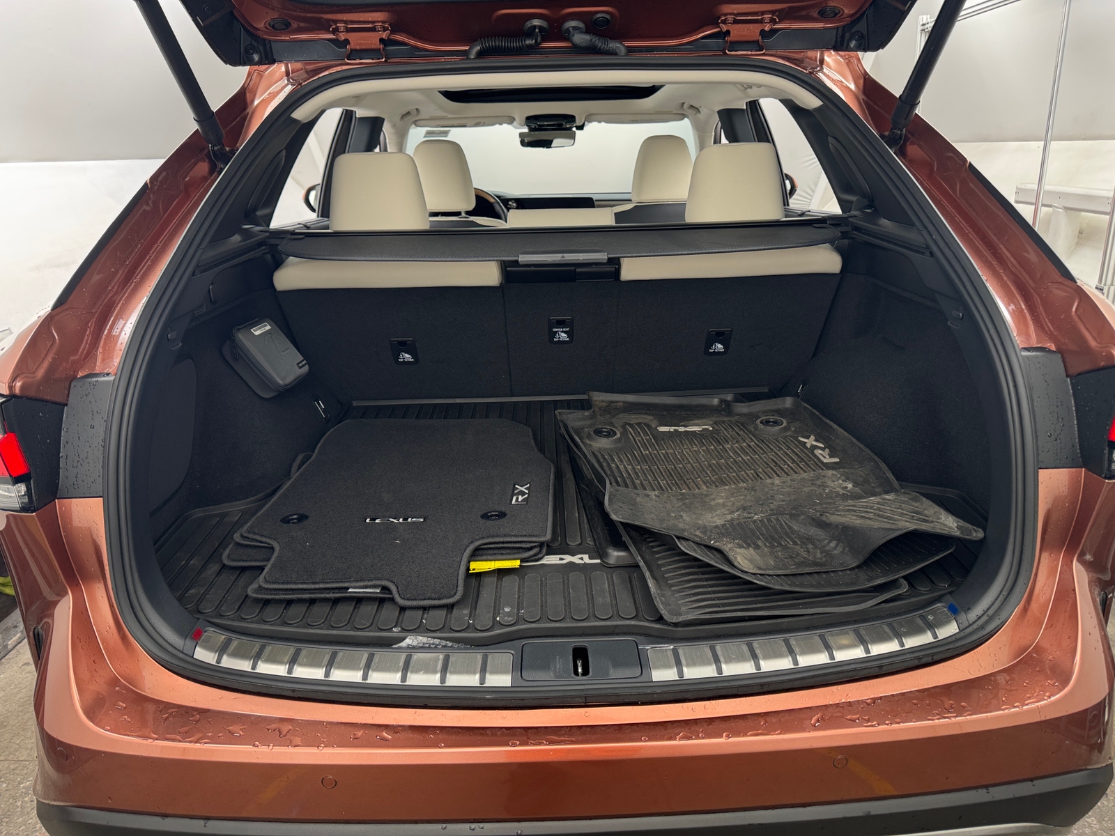 Thumbnail: 2025 Lexus RX - 6