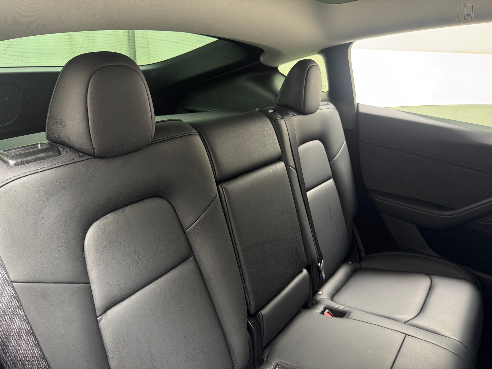 Thumbnail: 2024 Tesla Model Y - 5