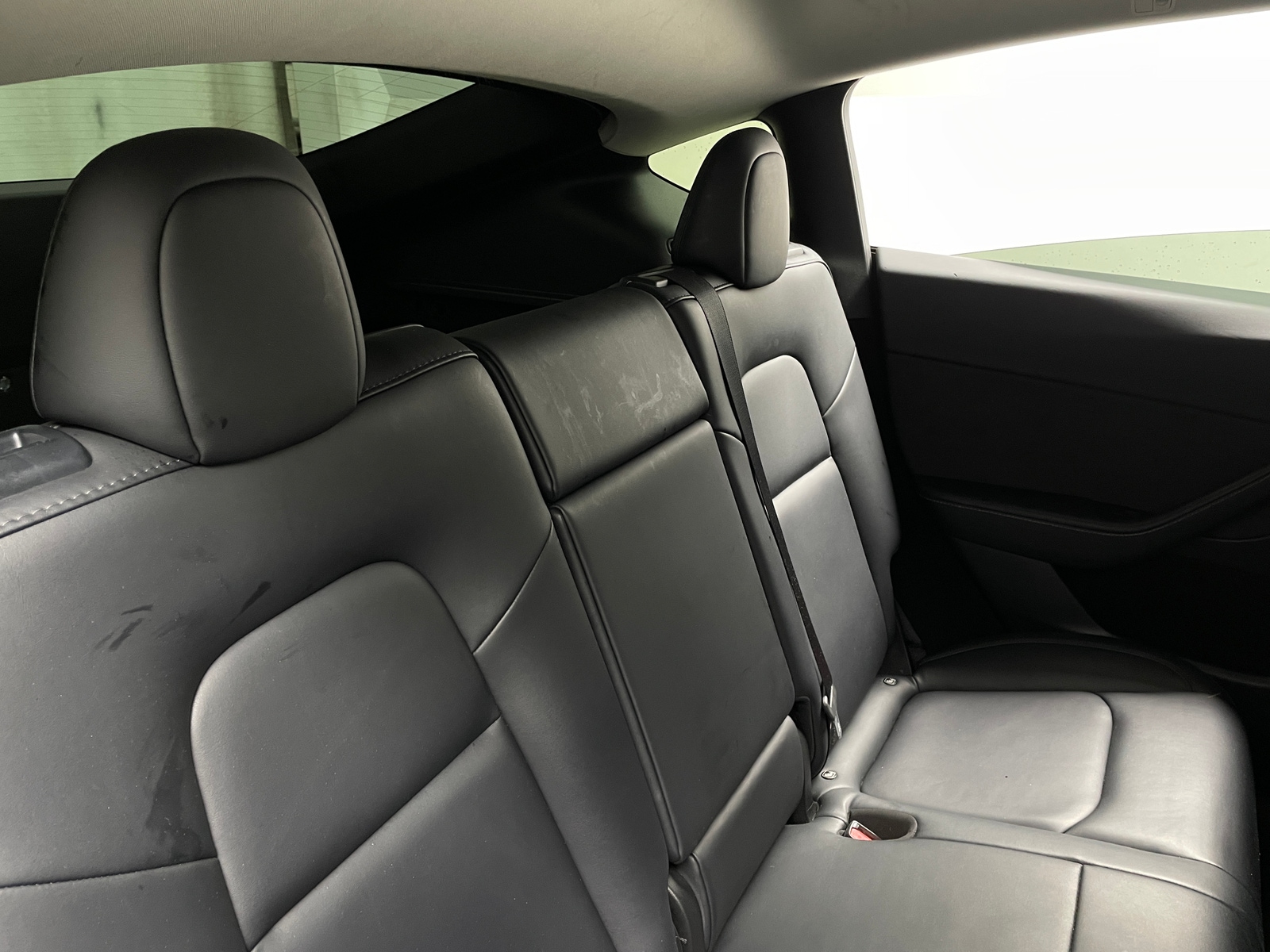 Thumbnail: 2023 Tesla Model Y - 5