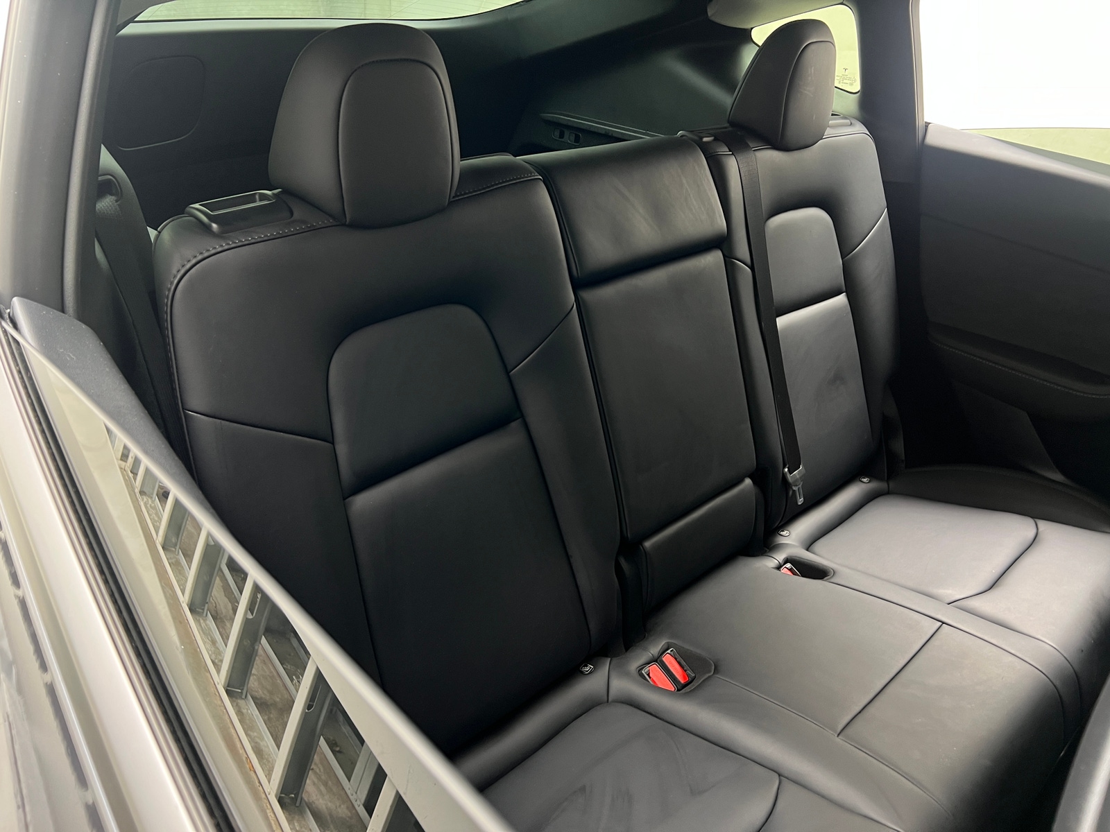 Thumbnail: 2023 Tesla Model Y - 5