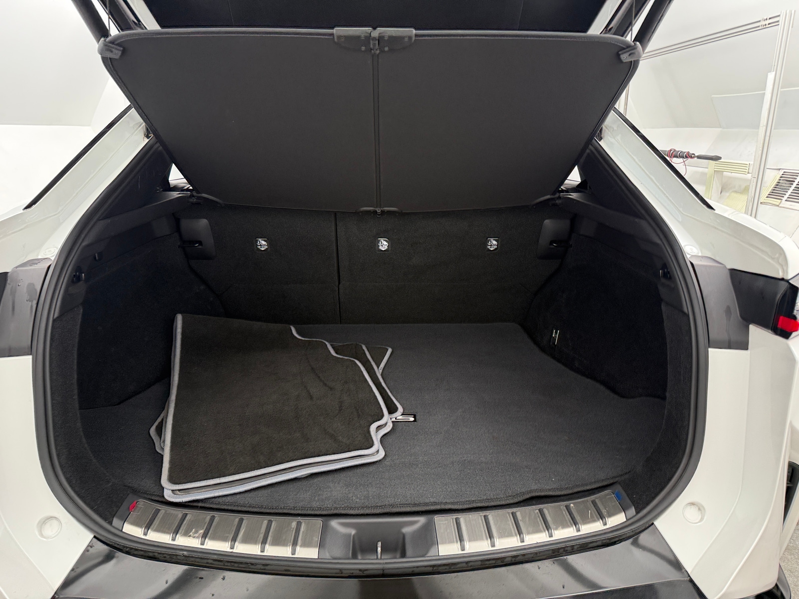 Thumbnail: 2024 Lexus RZ - 7