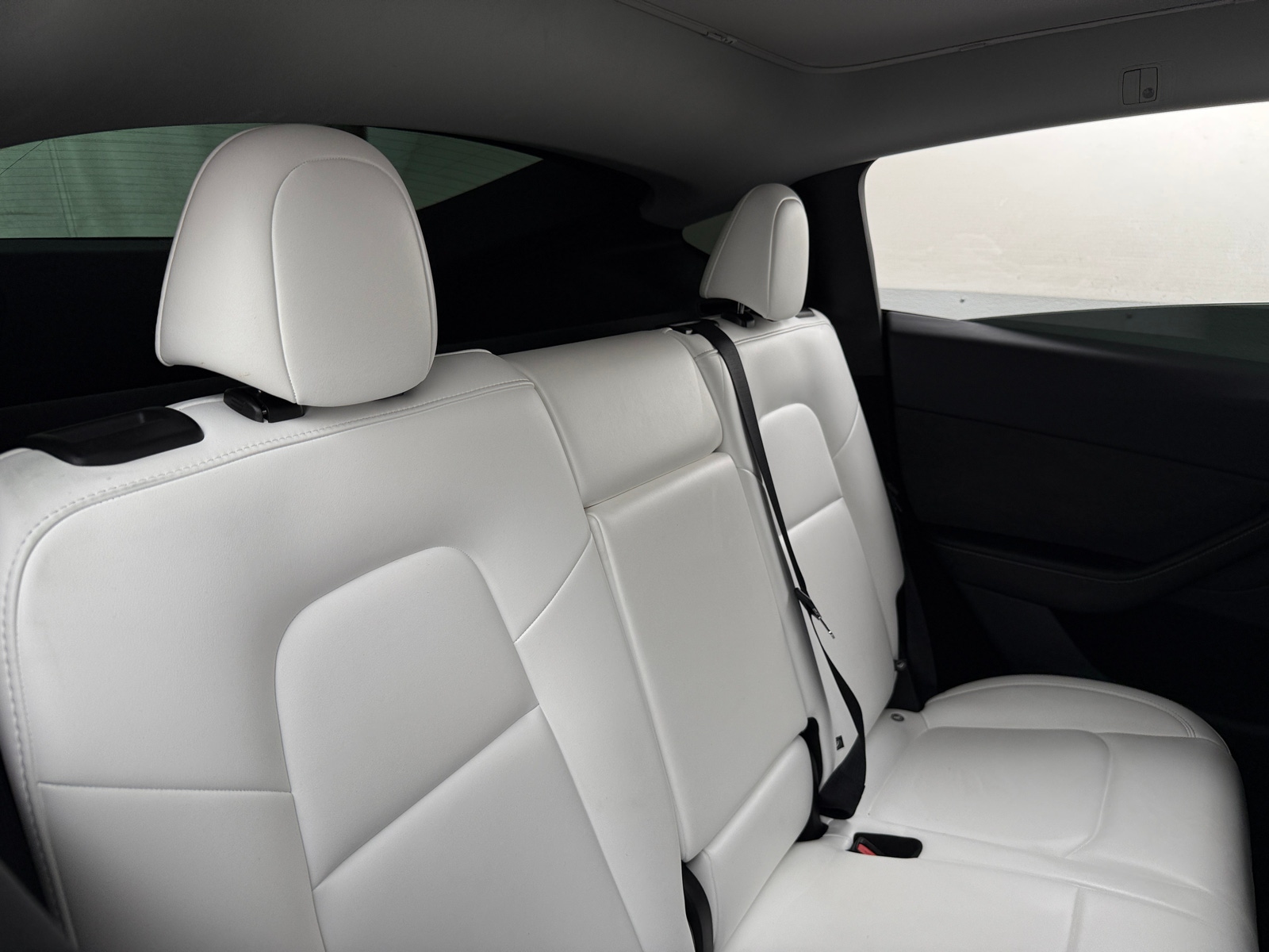 Thumbnail: 2025 Tesla Model Y - 5