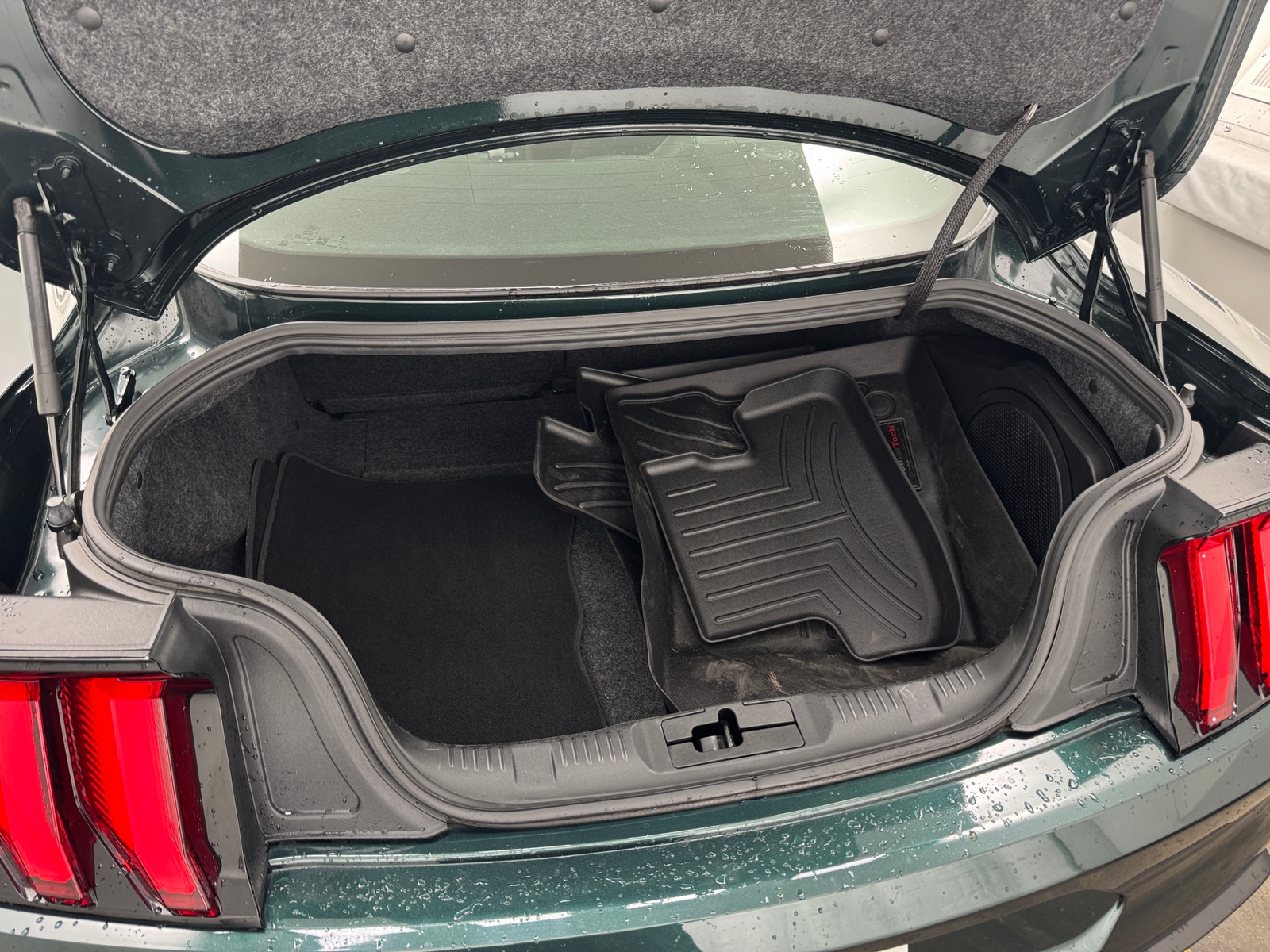 Thumbnail: 2019 Ford Mustang - 4