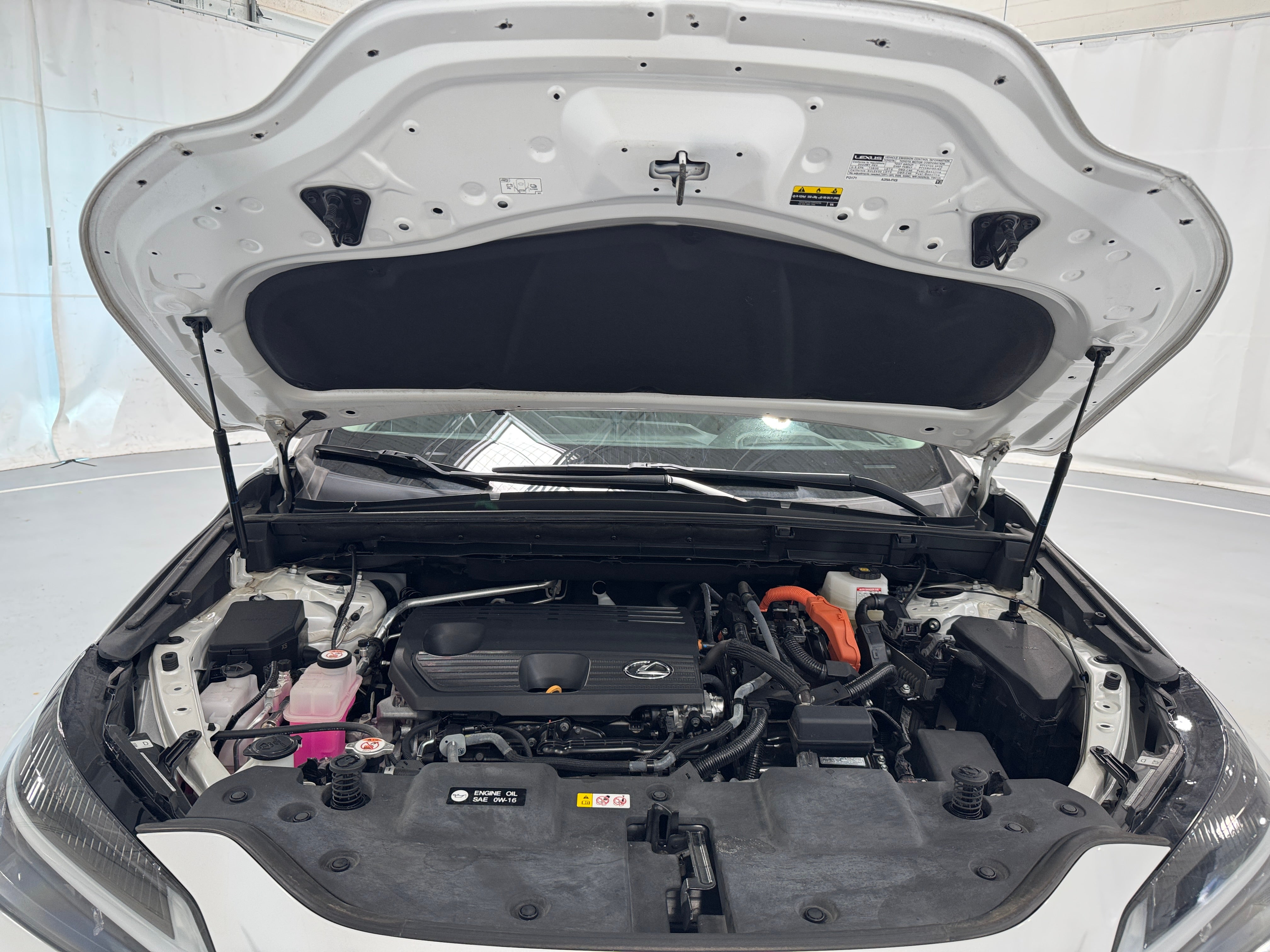 2023 Lexus NX Hybrid