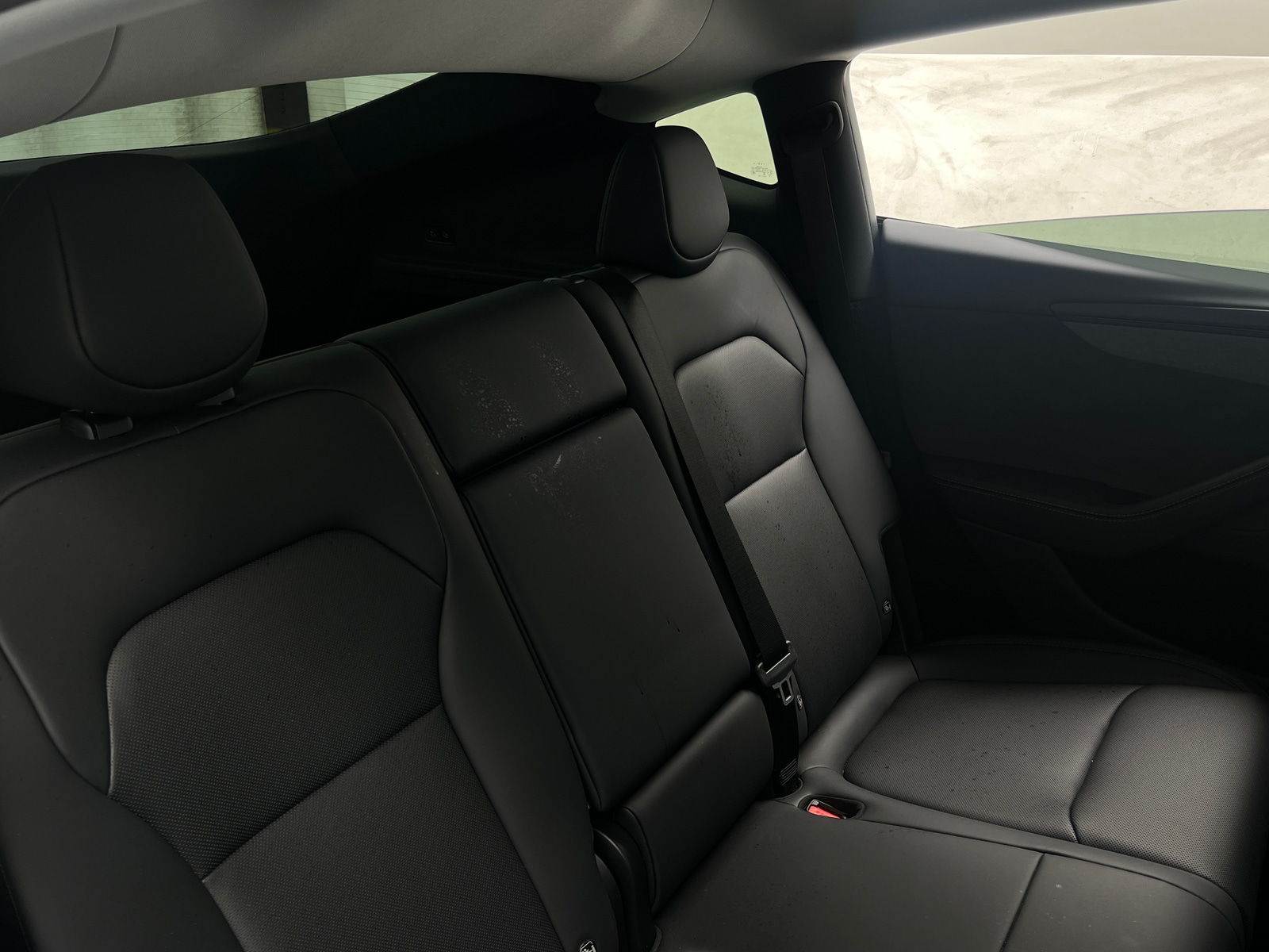 Thumbnail: 2026 Tesla Model Y - 5