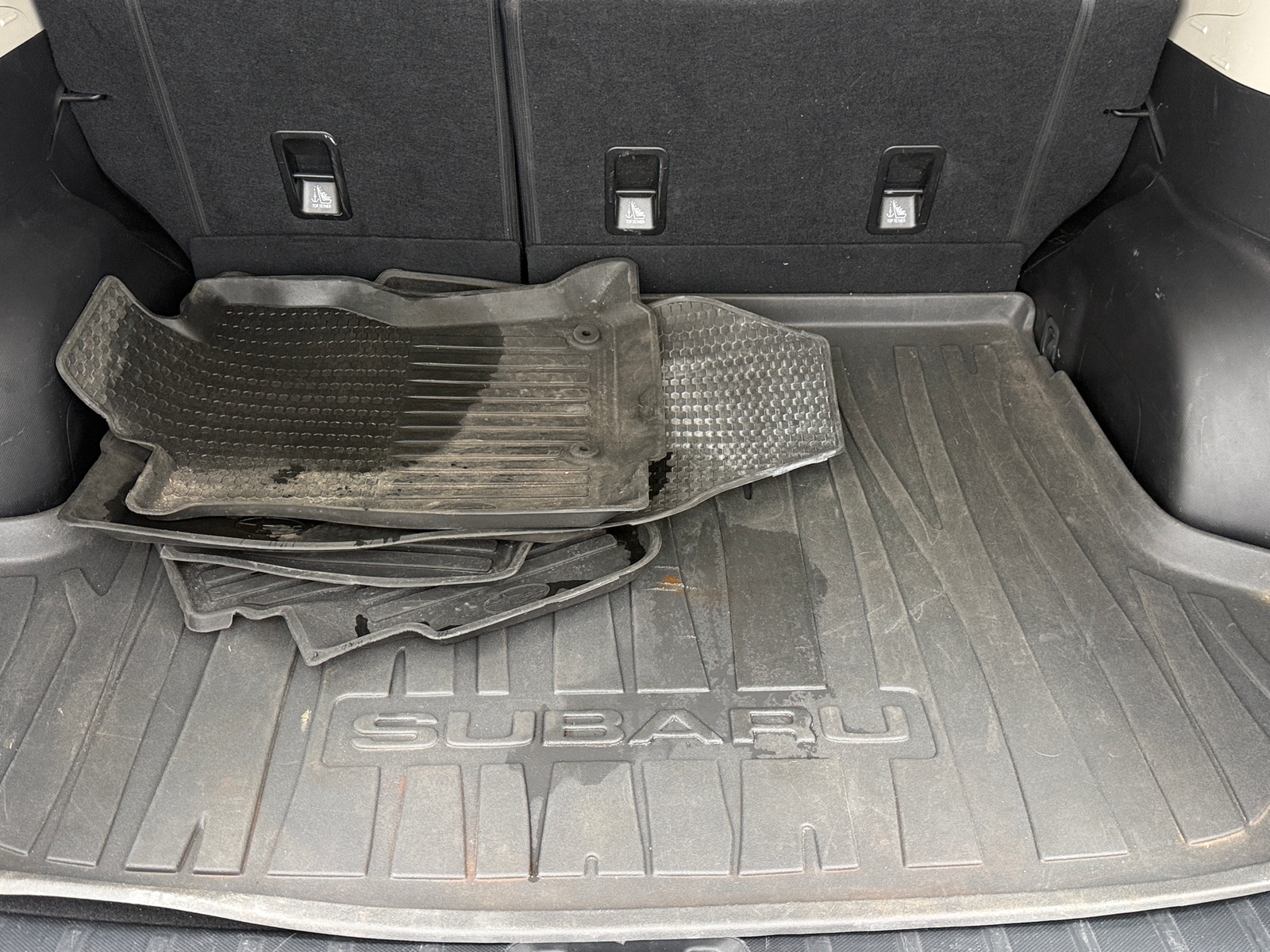 Thumbnail: 2019 Subaru Forester - 7