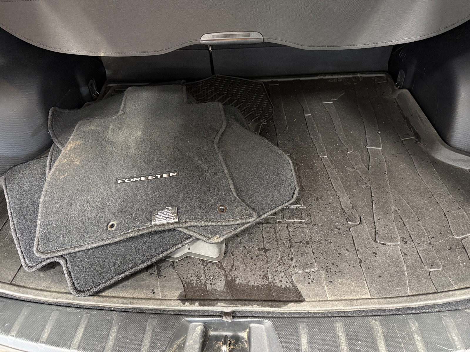 Thumbnail: 2020 Subaru Forester - 7