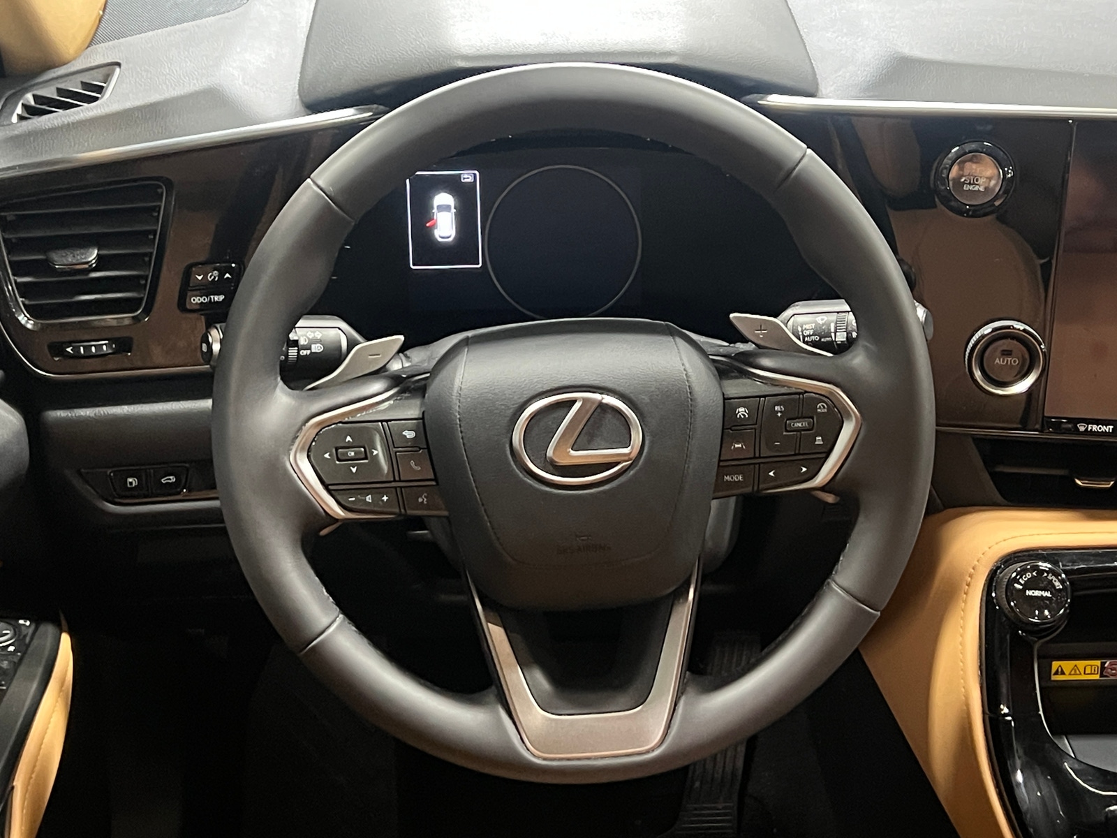 Thumbnail: 2025 Lexus NX - 4