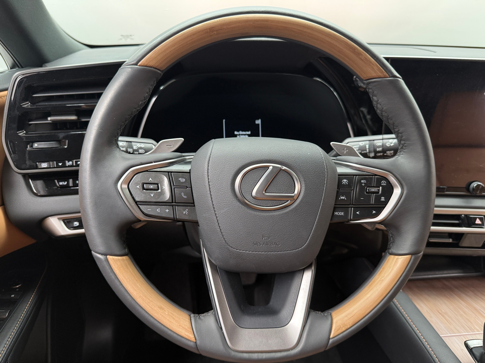 Thumbnail: 2025 Lexus RX - 5