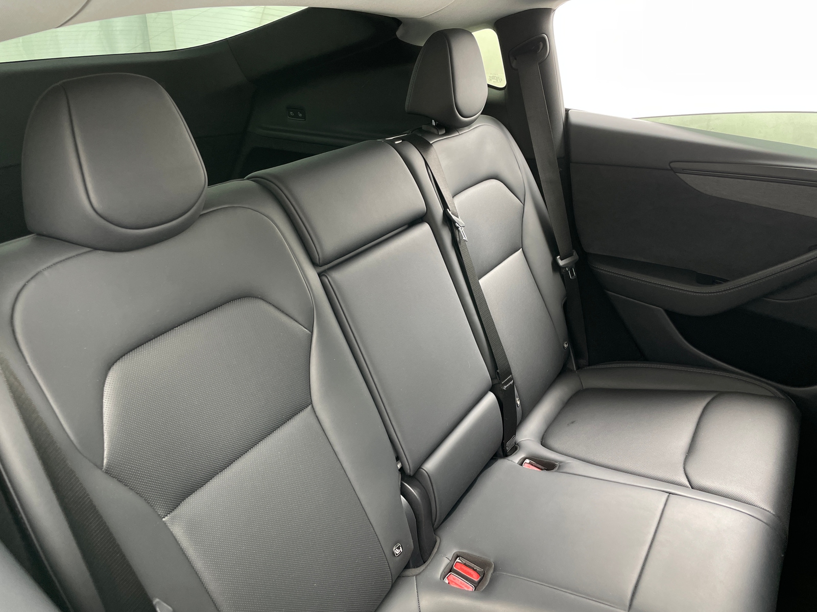 Thumbnail: 2026 Tesla Model Y - 5