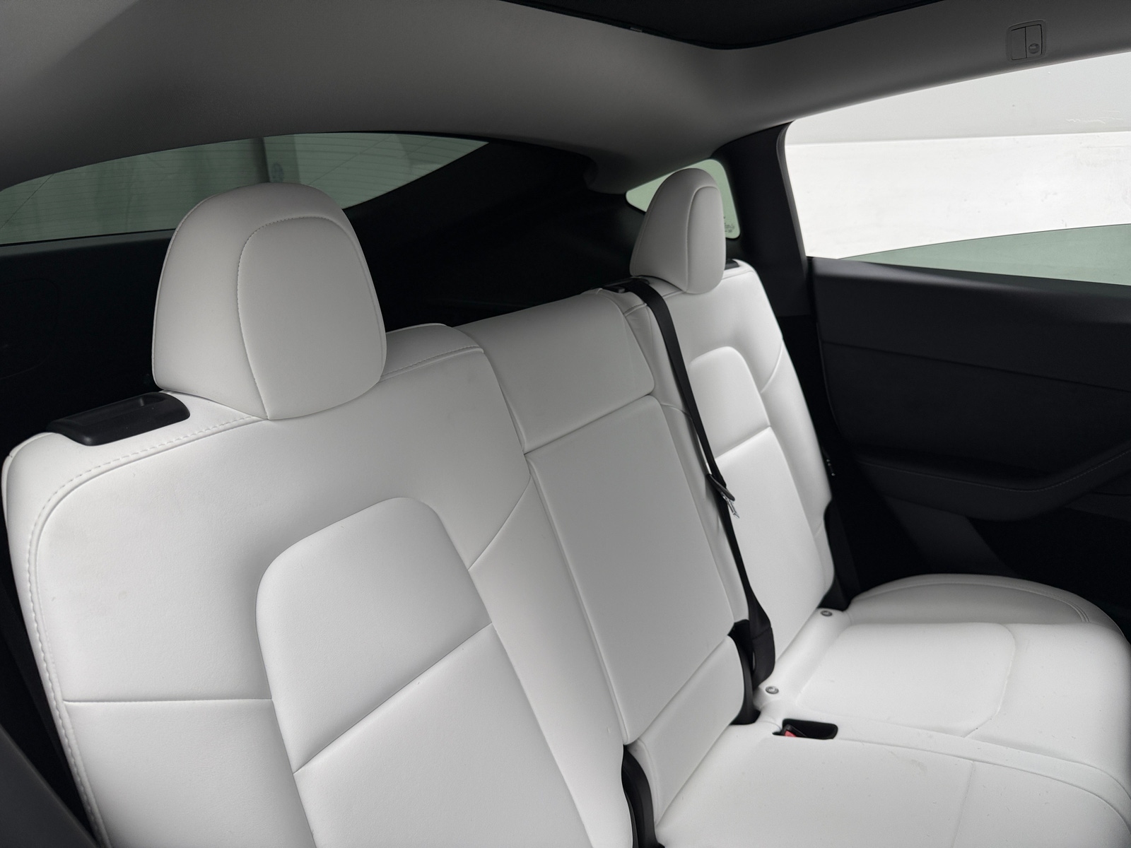 Thumbnail: 2023 Tesla Model Y - 5