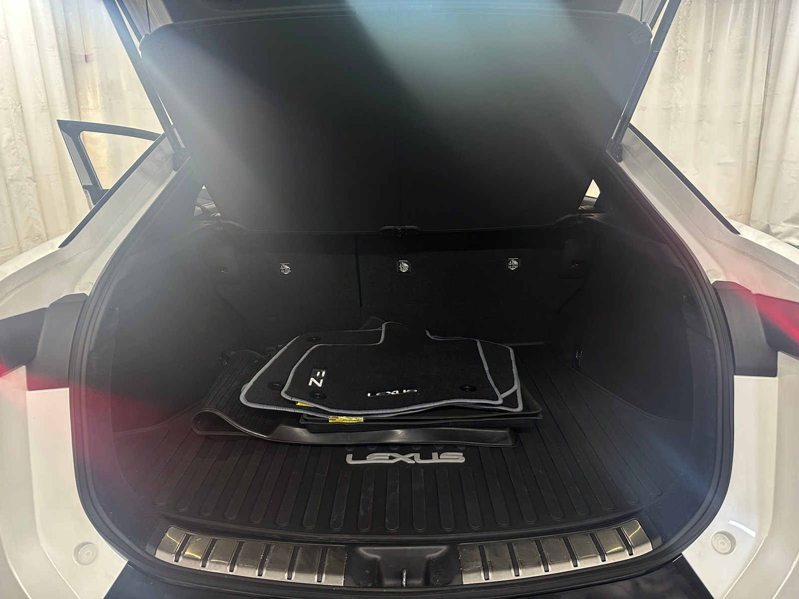 Thumbnail: 2025 Lexus RZ - 6