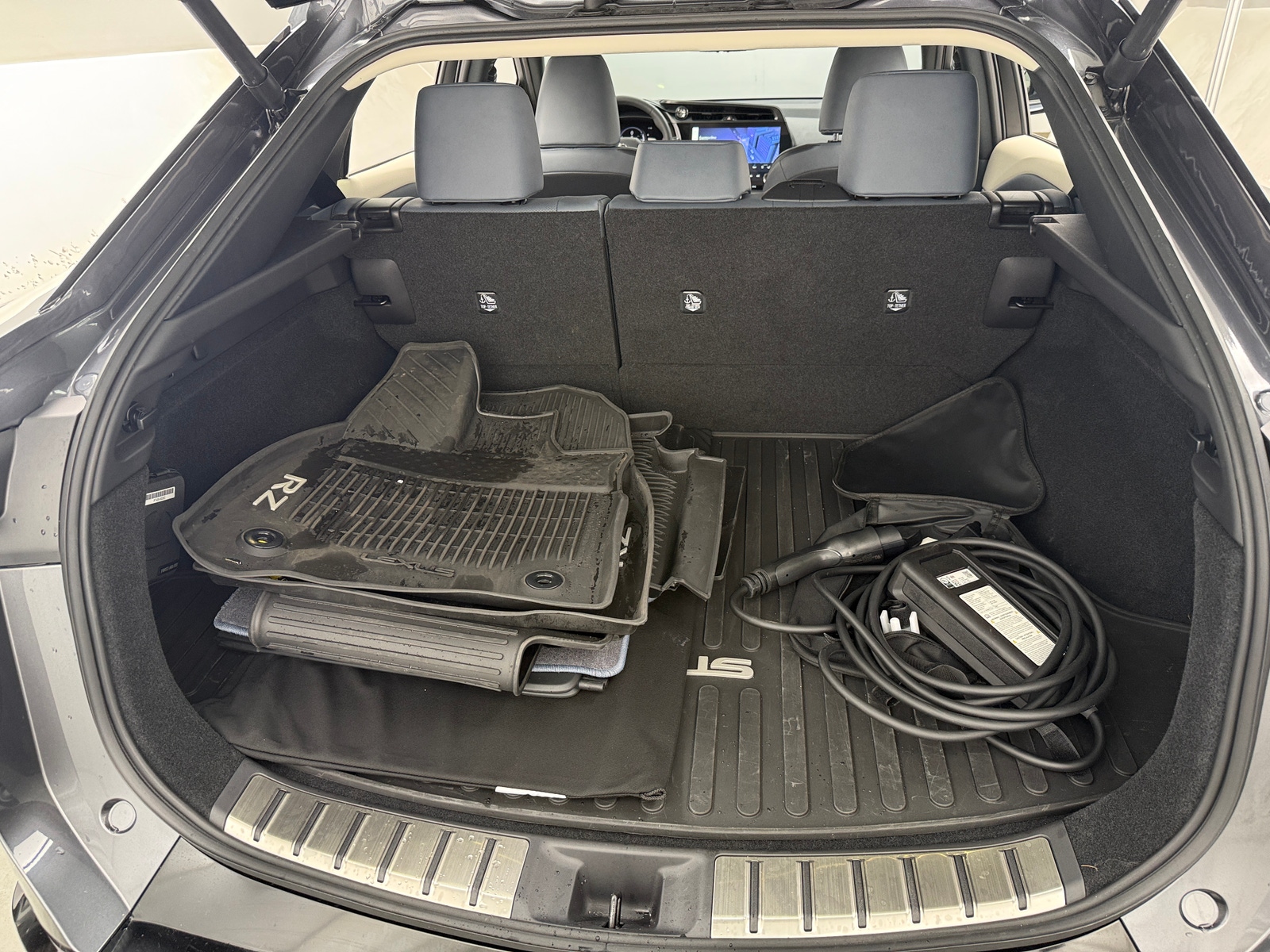 Thumbnail: 2025 Lexus RZ - 6