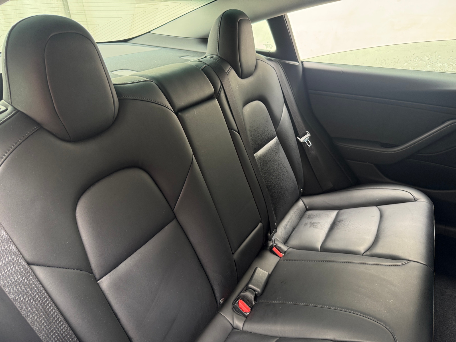 Thumbnail: 2019 Tesla Model 3 - 5