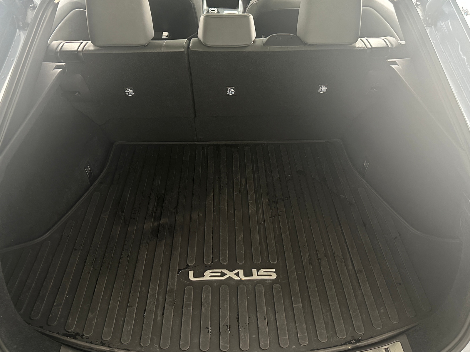 Thumbnail: 2023 Lexus RZ - 6