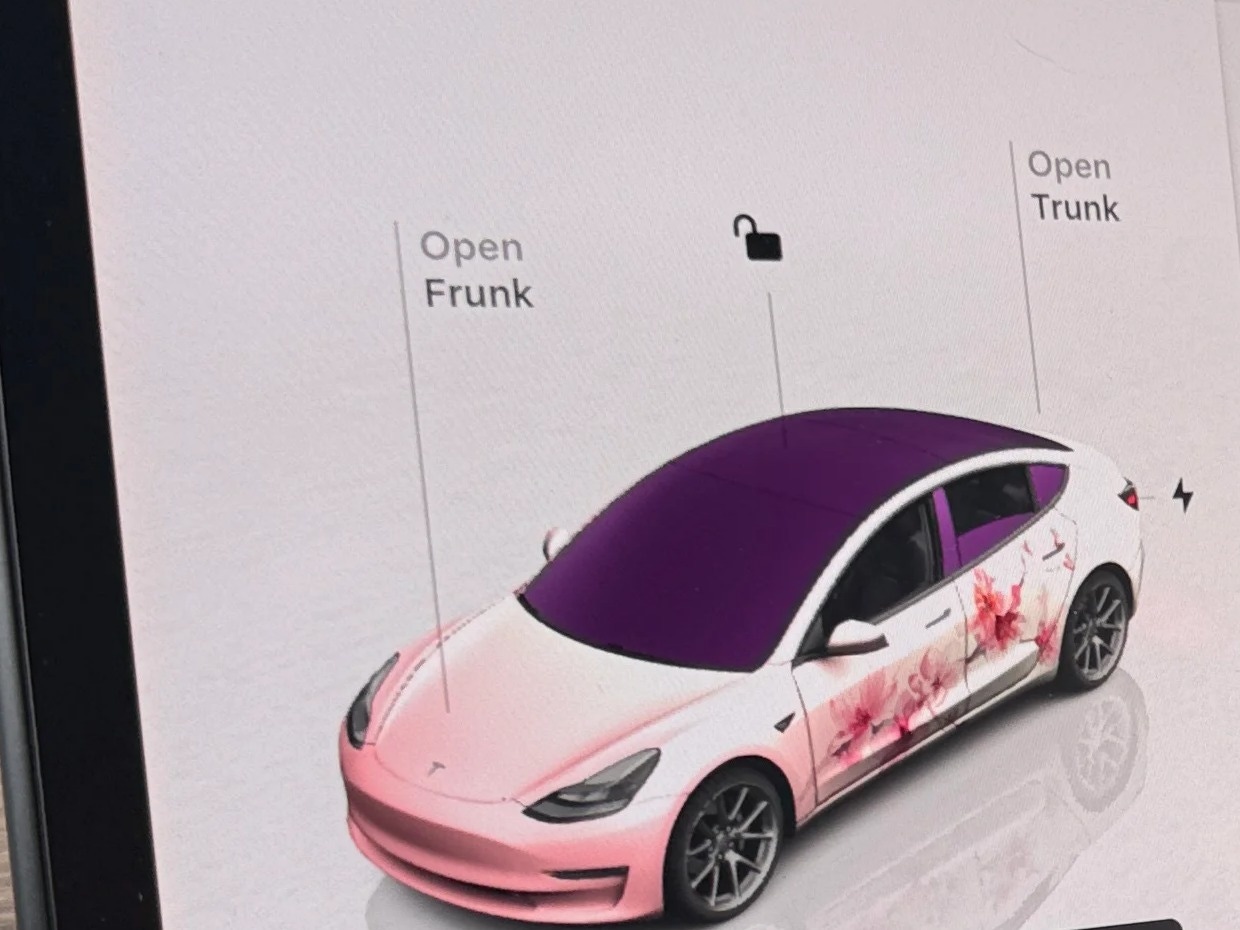 Thumbnail: 2023 Tesla Model 3 - 3