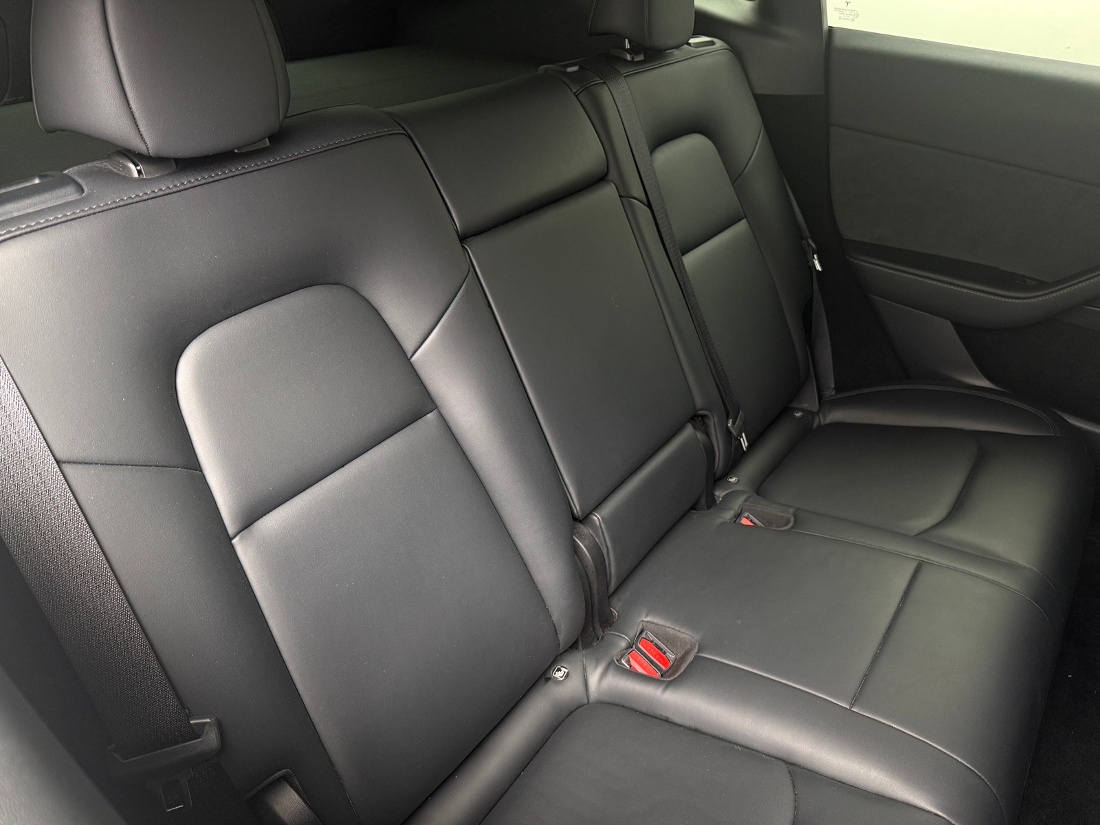 Thumbnail: 2023 Tesla Model Y - 5