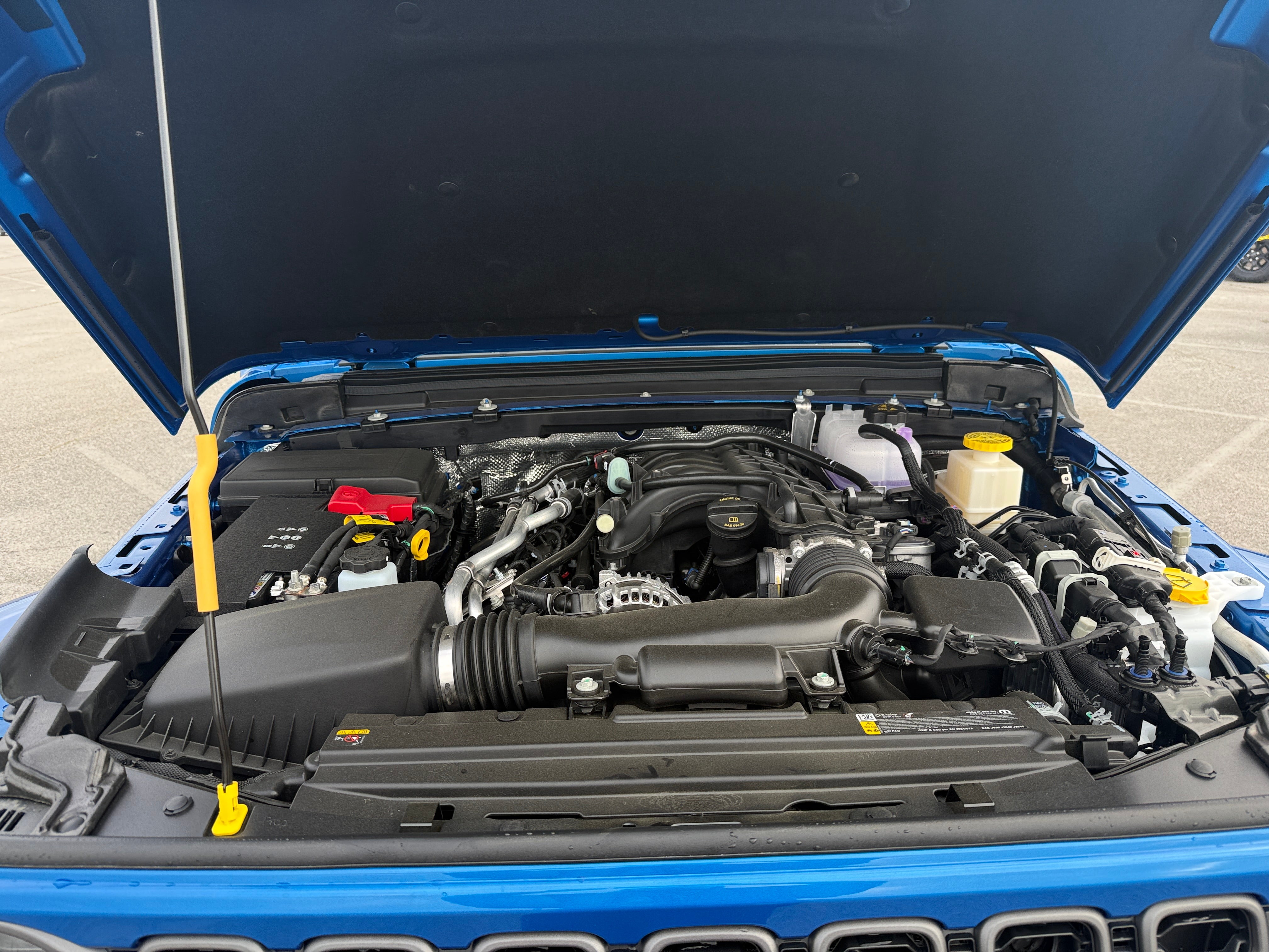 2026 Jeep Gladiator Texas Trail Auto's photo