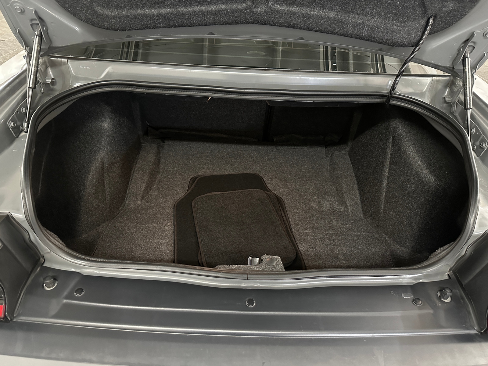 Thumbnail: 2019 Dodge Challenger - 5