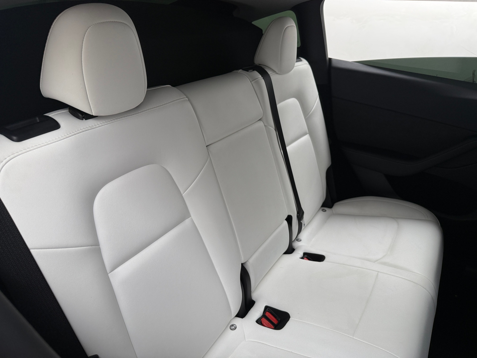 Thumbnail: 2023 Tesla Model Y - 5