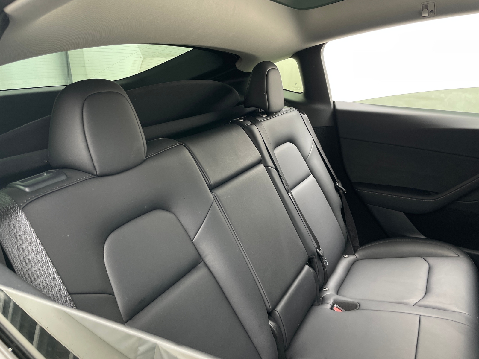 Thumbnail: 2023 Tesla Model Y - 5