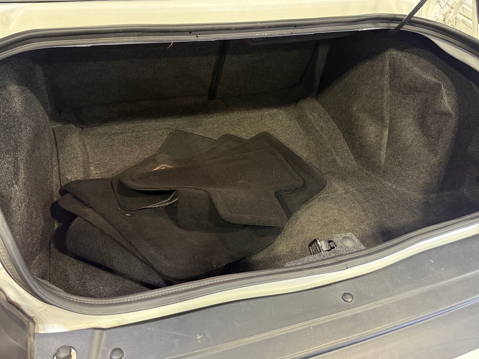 Thumbnail: 2019 Dodge Challenger - 5