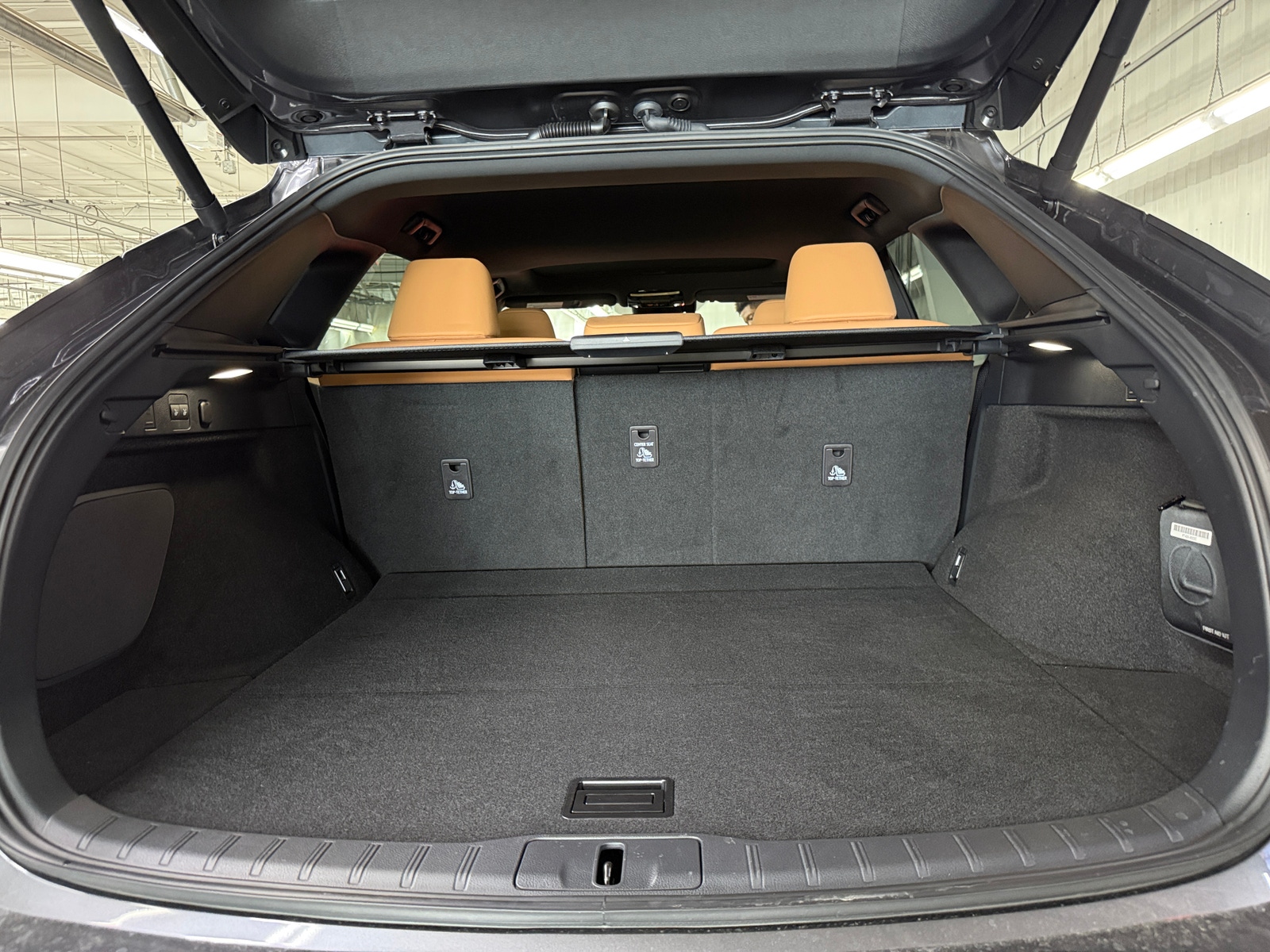 Thumbnail: 2024 Lexus RX - 6