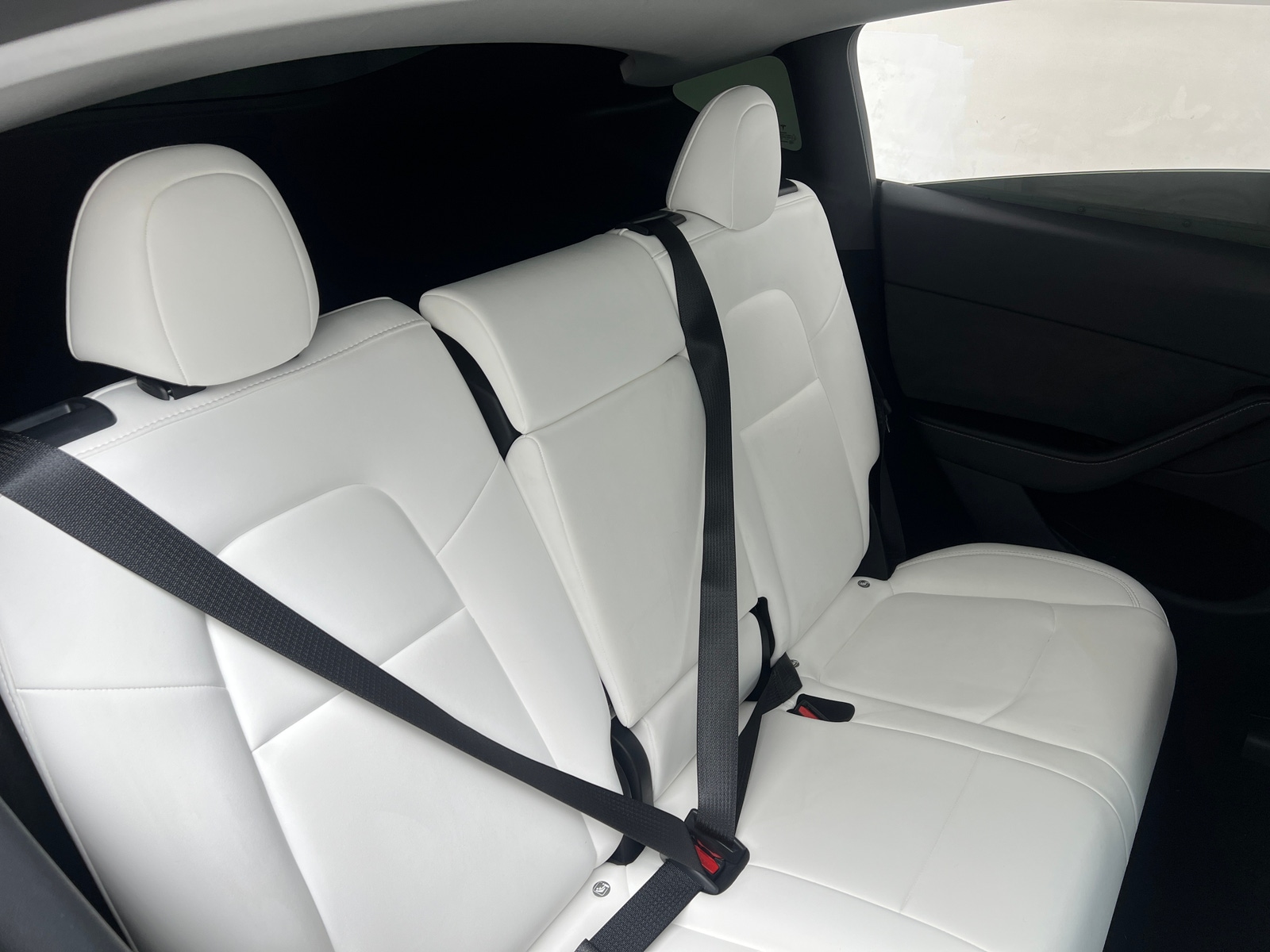 Thumbnail: 2023 Tesla Model Y - 5