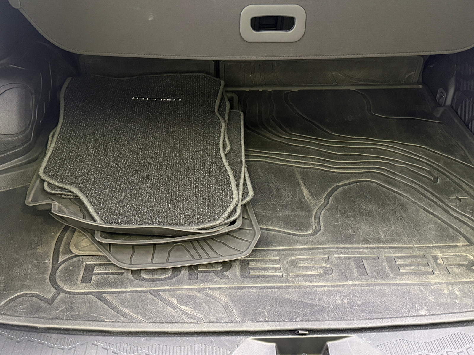 Thumbnail: 2025 Subaru Forester - 6