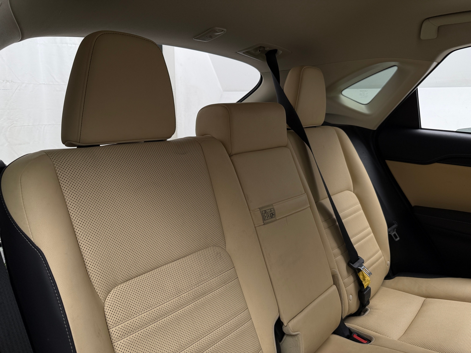 Thumbnail: 2019 Lexus NX - 5