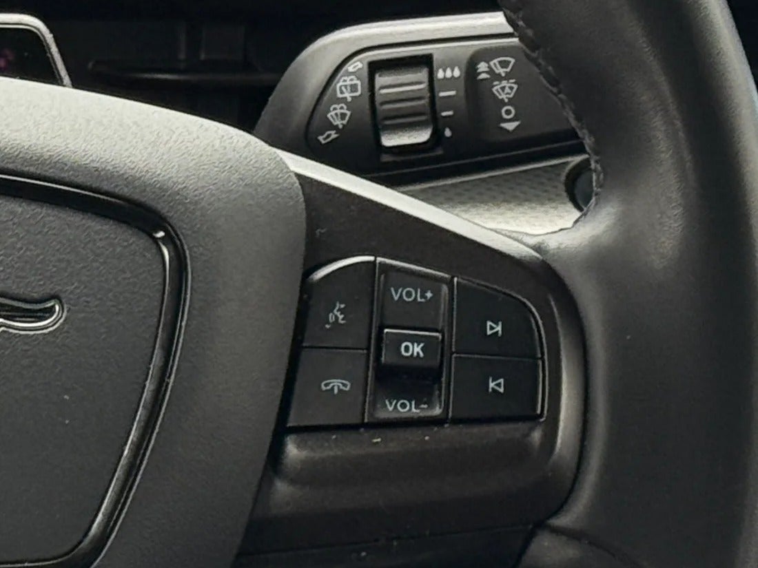 2021 Ford Mustang Mach-E California Route 1 RWD - Photo 20
