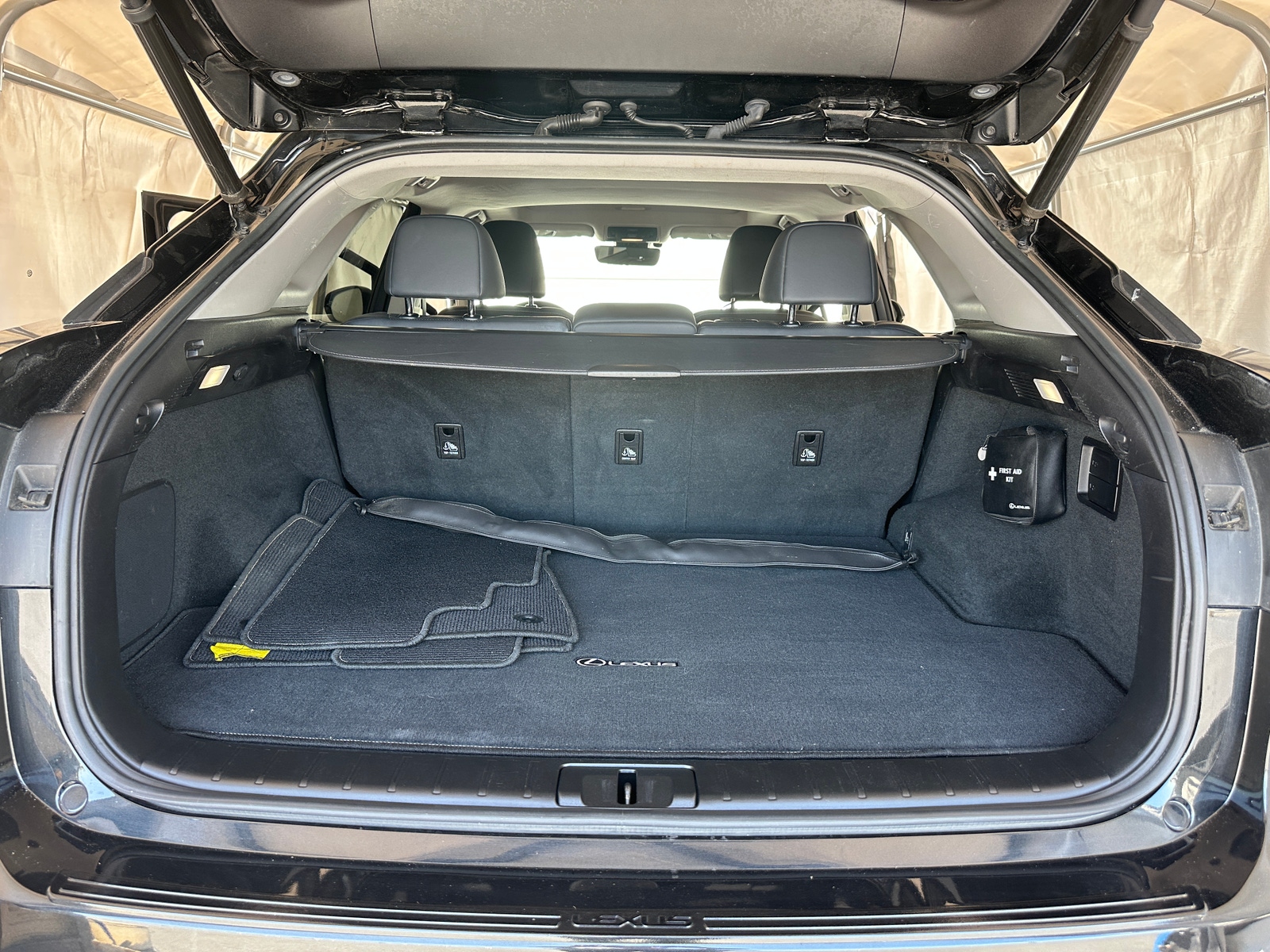 Thumbnail: 2020 Lexus RX - 6