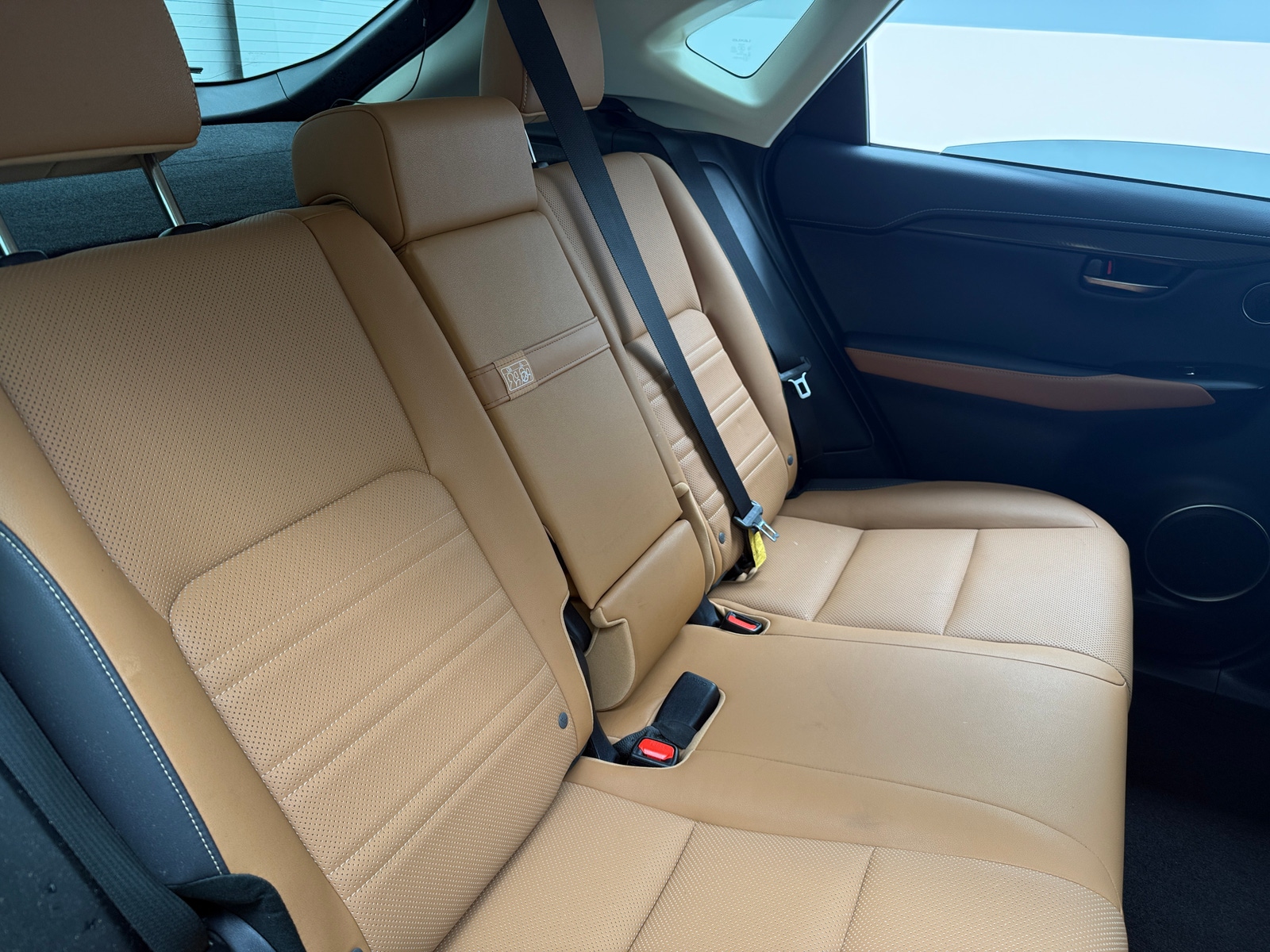 Thumbnail: 2019 Lexus NX - 5