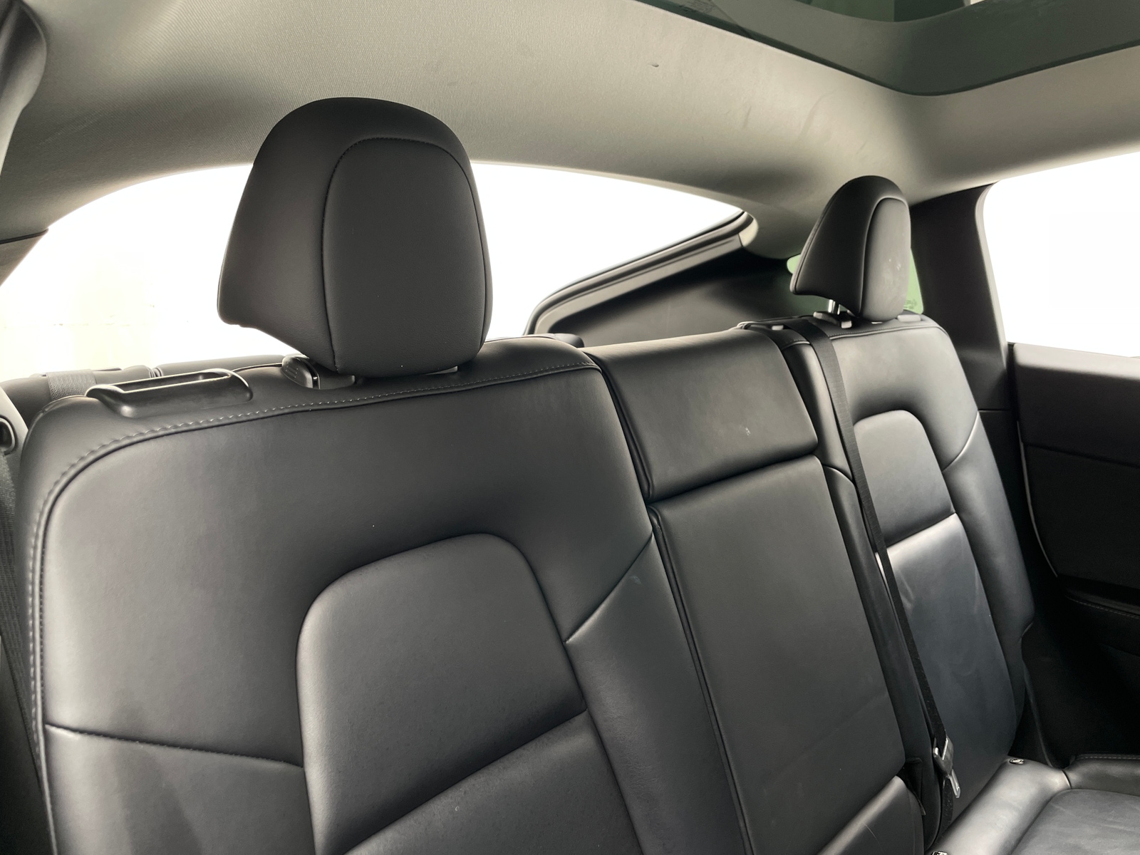 Thumbnail: 2023 Tesla Model Y - 5