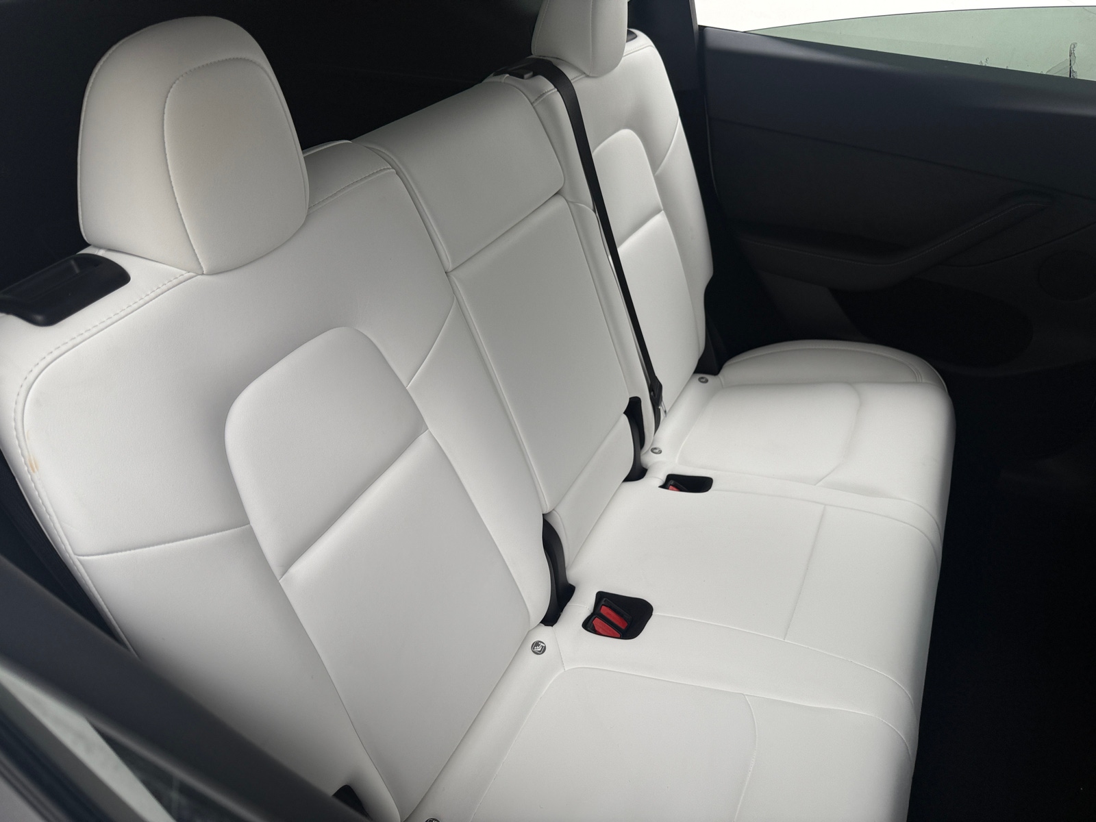 Thumbnail: 2023 Tesla Model Y - 5