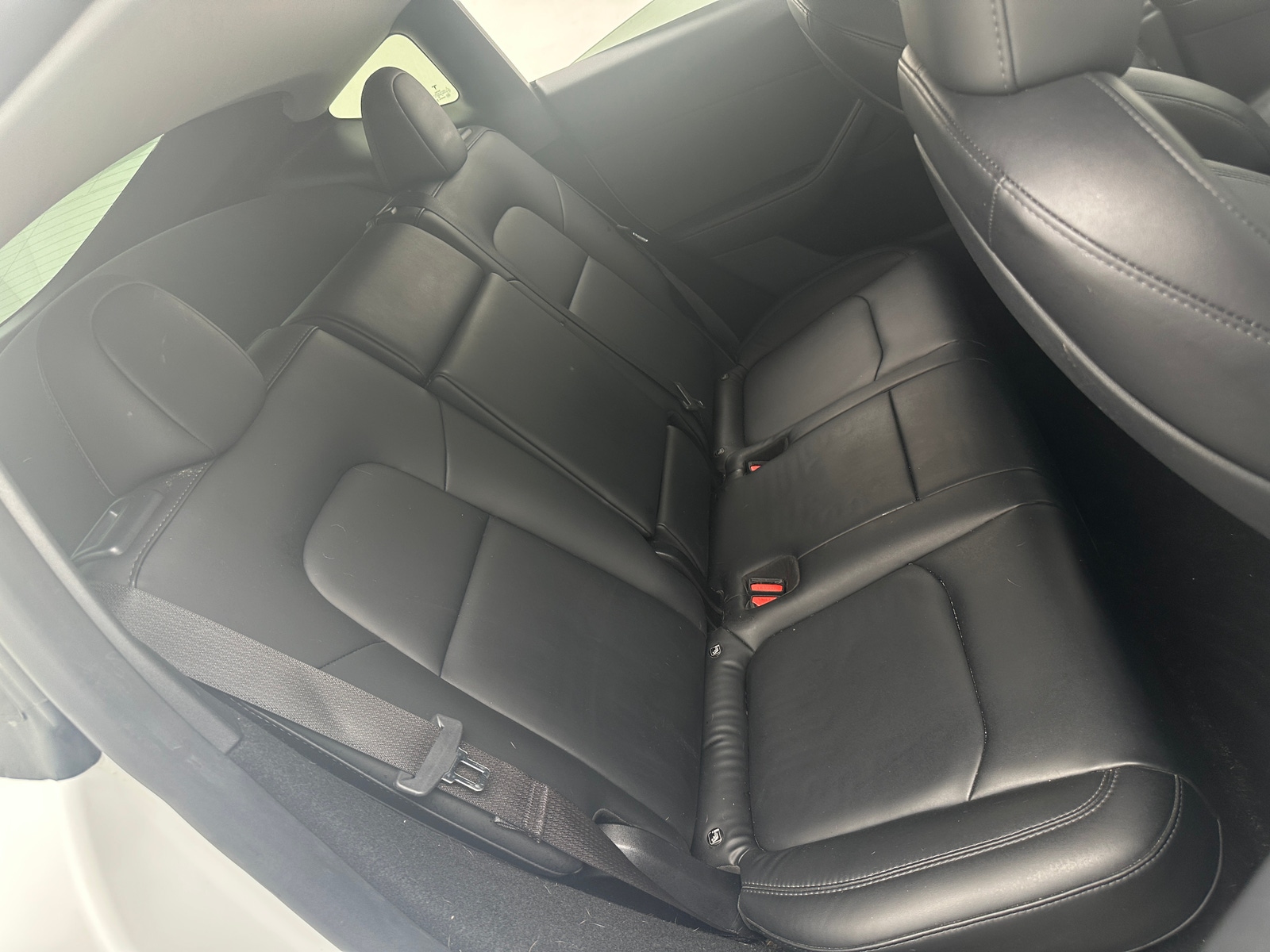 Thumbnail: 2023 Tesla Model Y - 5