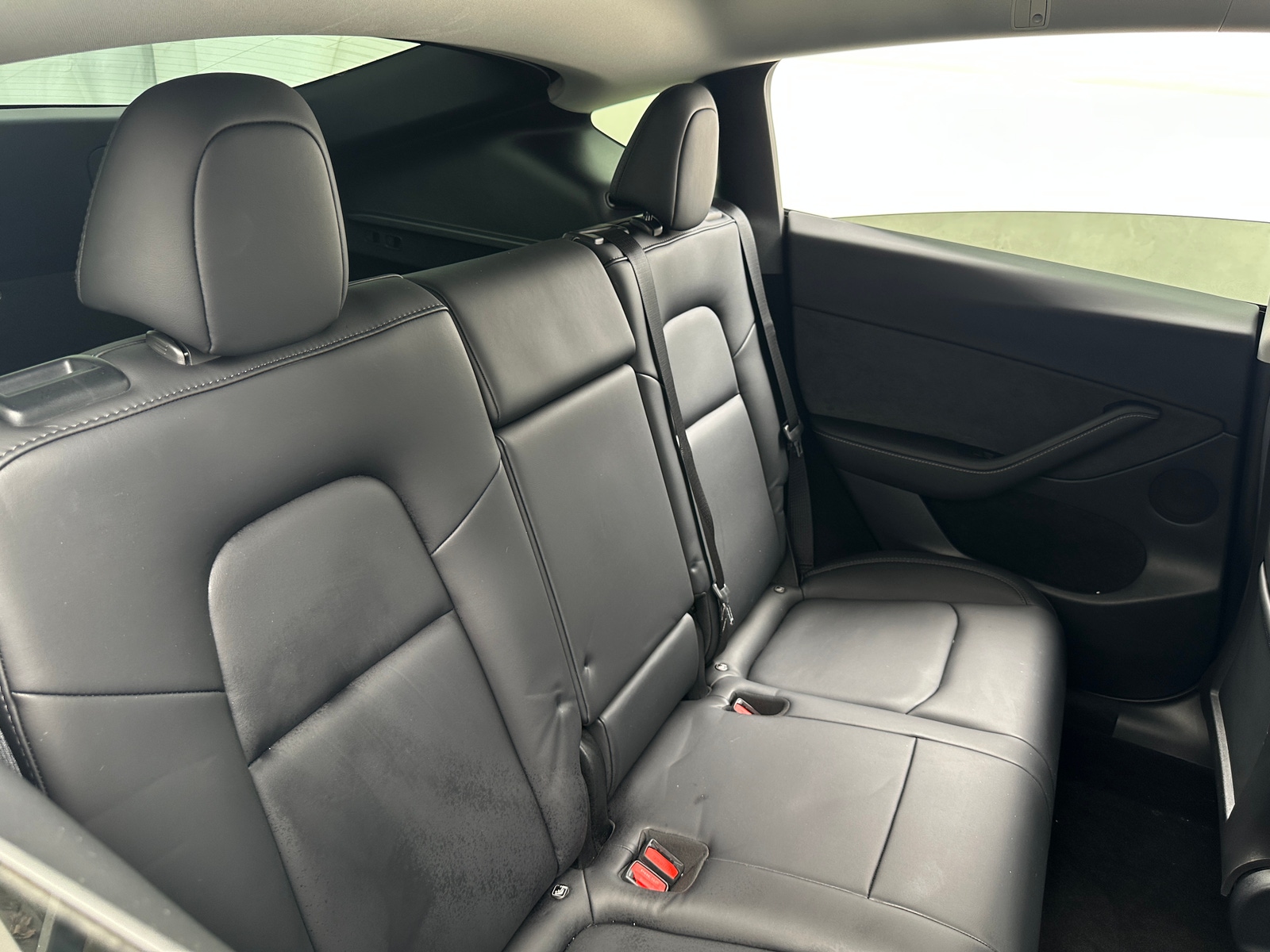 Thumbnail: 2023 Tesla Model Y - 5