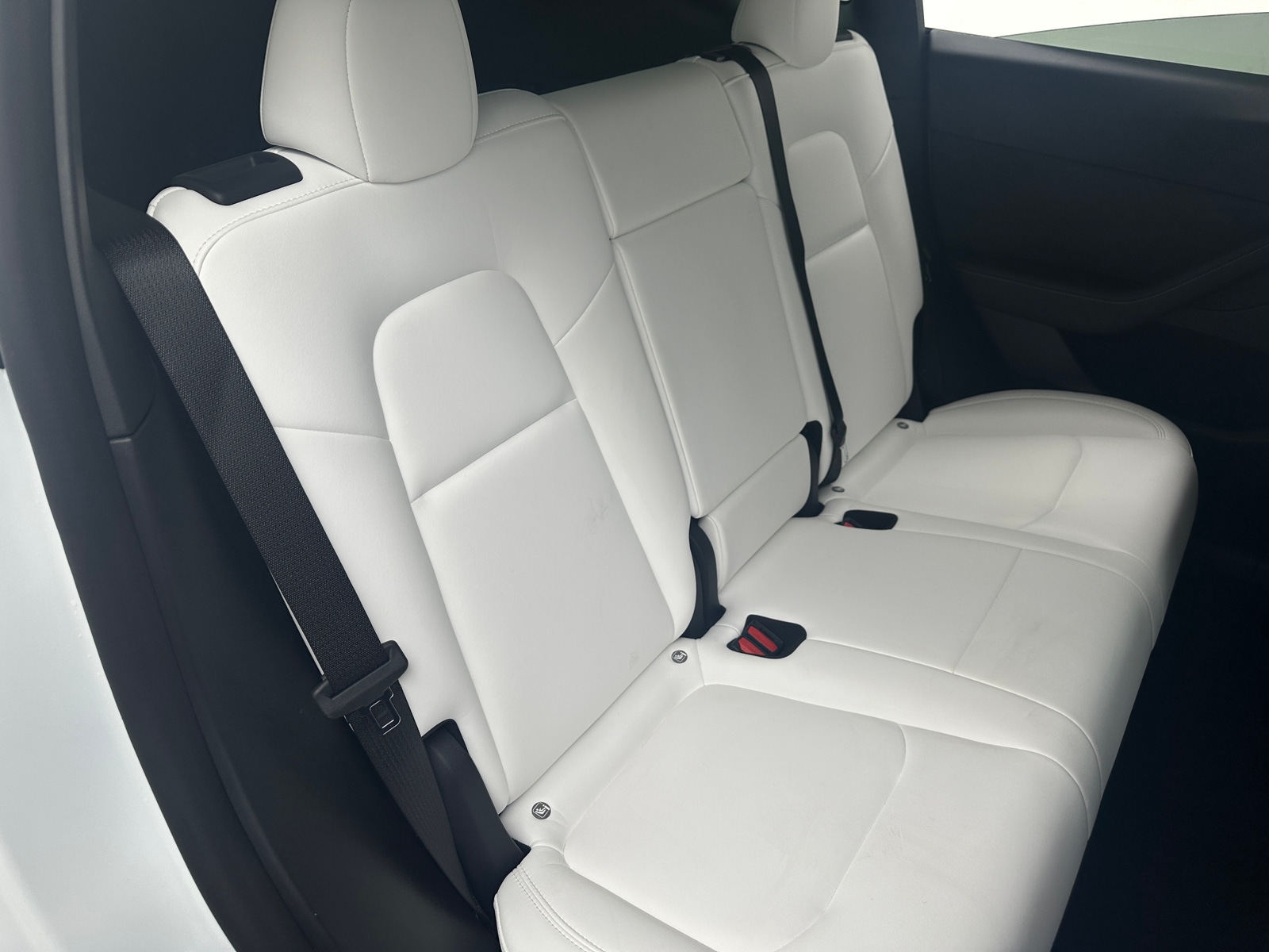 Thumbnail: 2022 Tesla Model Y - 5