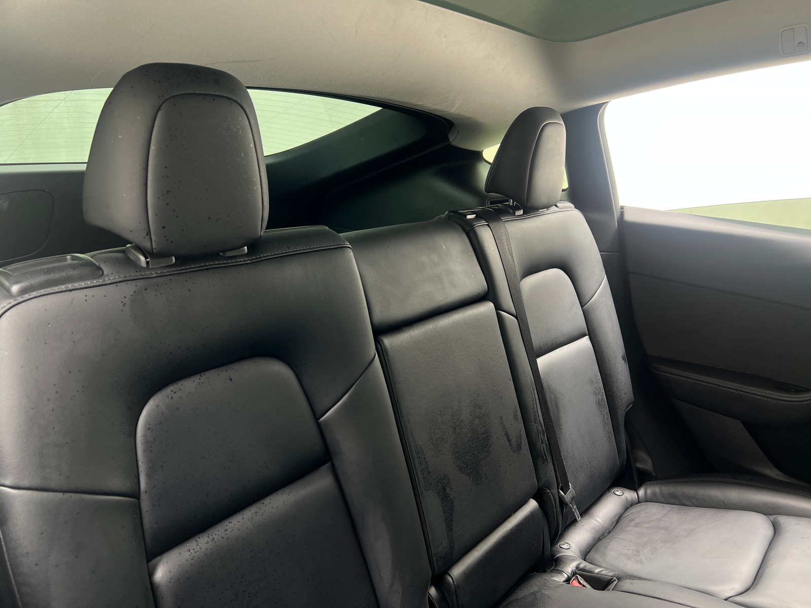 Thumbnail: 2020 Tesla Model Y - 5