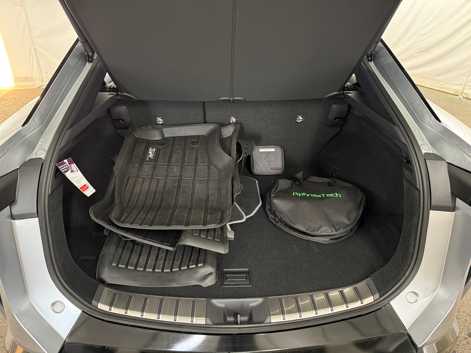 Thumbnail: 2023 Lexus RZ - 6