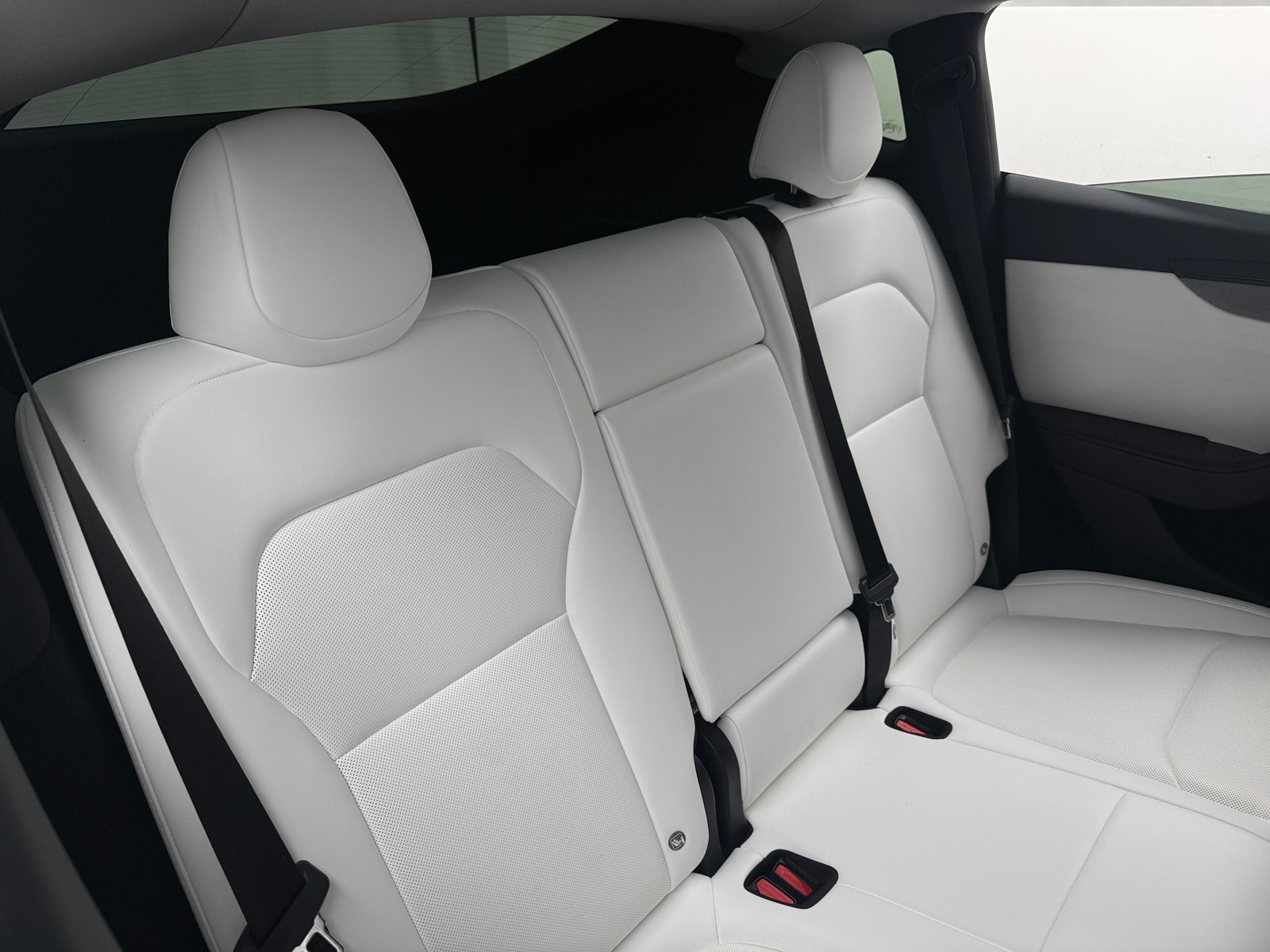 Thumbnail: 2026 Tesla Model Y - 5