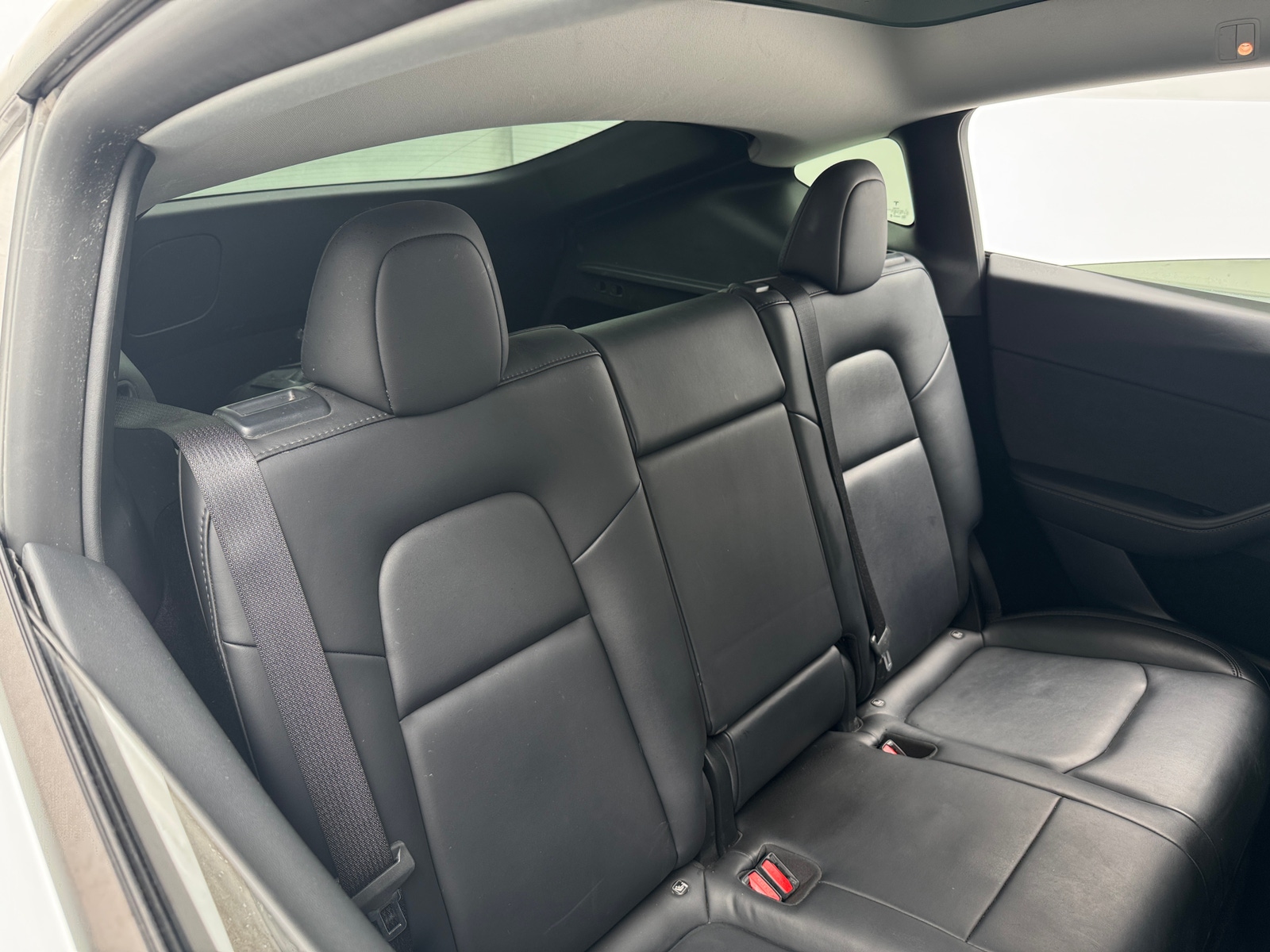 Thumbnail: 2023 Tesla Model Y - 5