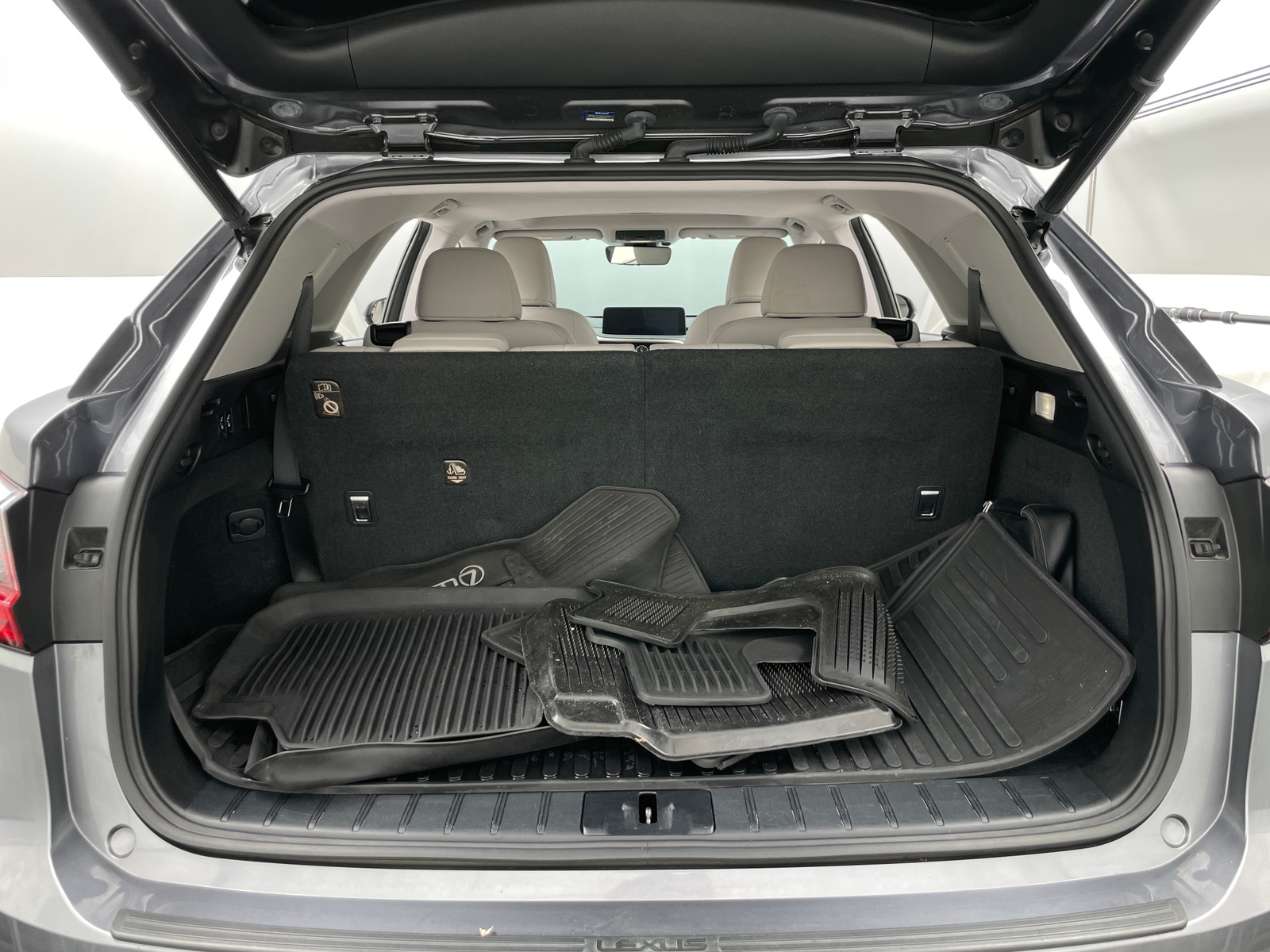 Thumbnail: 2021 Lexus RX - 6