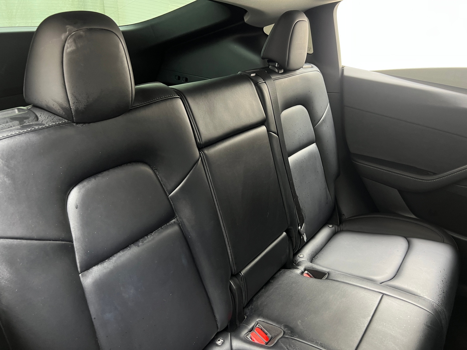 Thumbnail: 2022 Tesla Model Y - 5