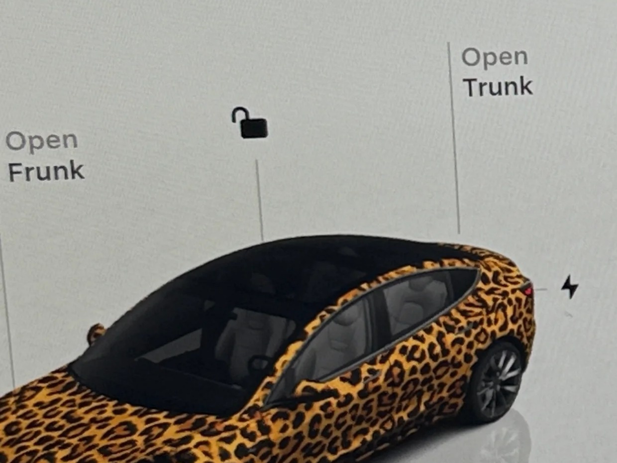 Thumbnail: 2022 Tesla Model 3 - 3