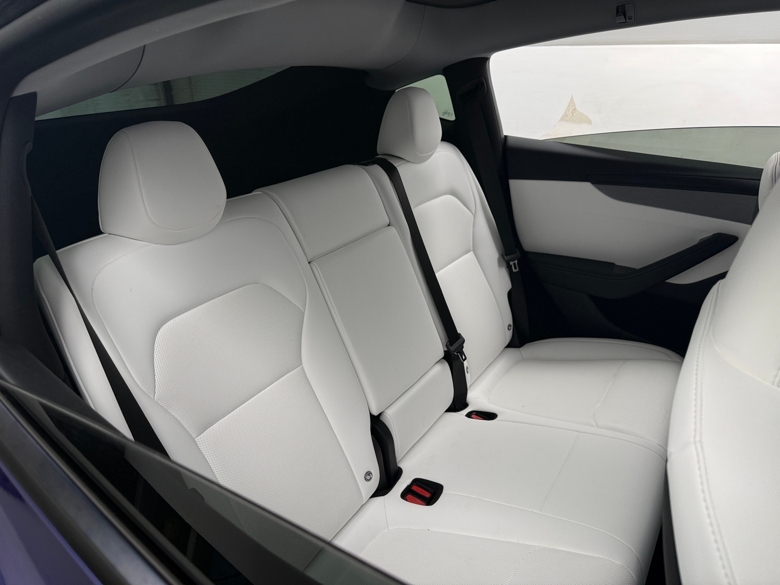 Thumbnail: 2026 Tesla Model Y - 5