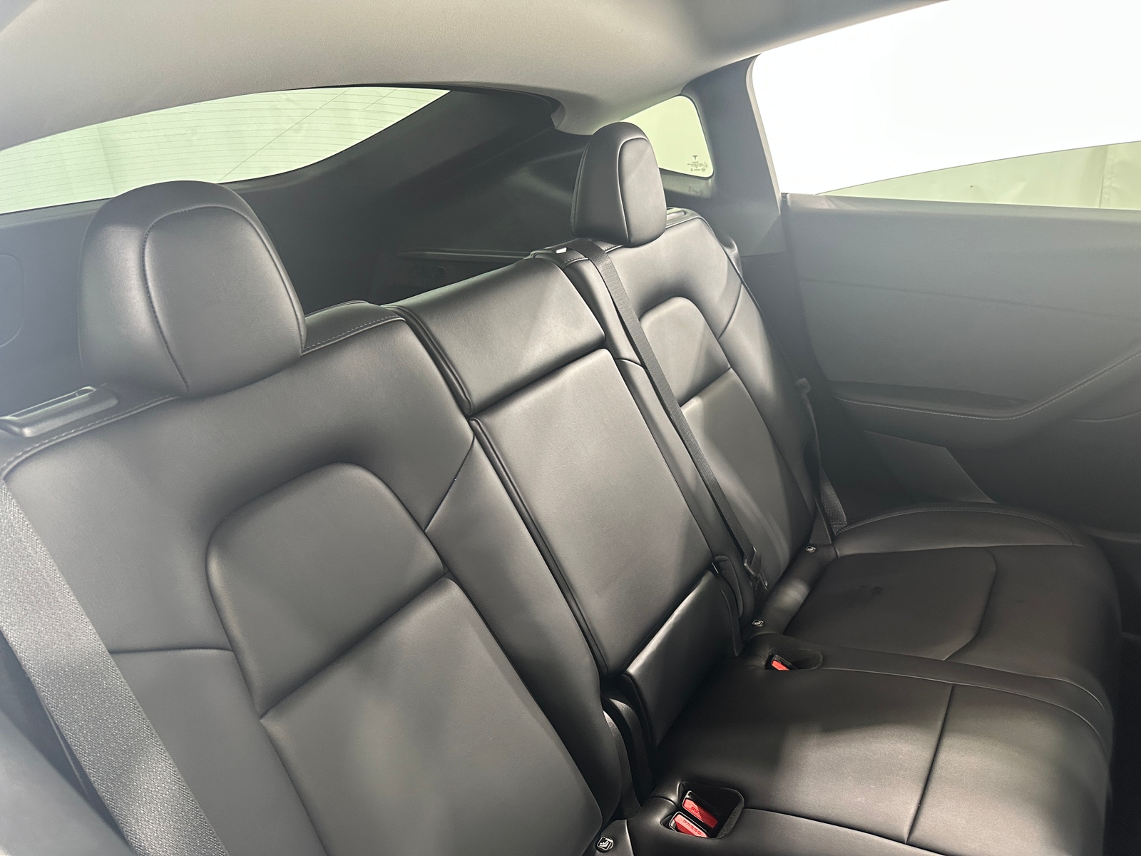 Thumbnail: 2023 Tesla Model Y - 5